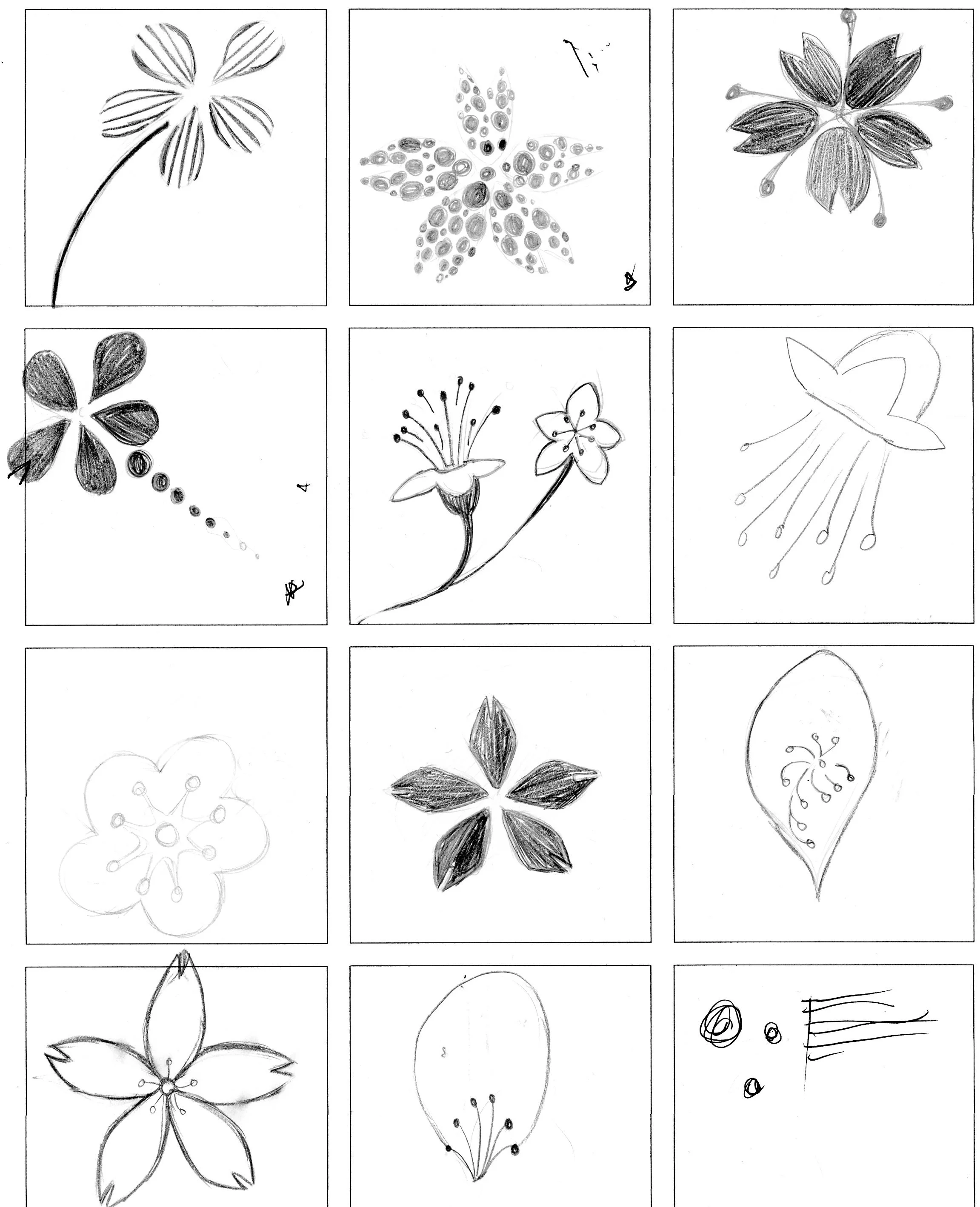 Pencil sketch of Cherry Blossoms and fireworks