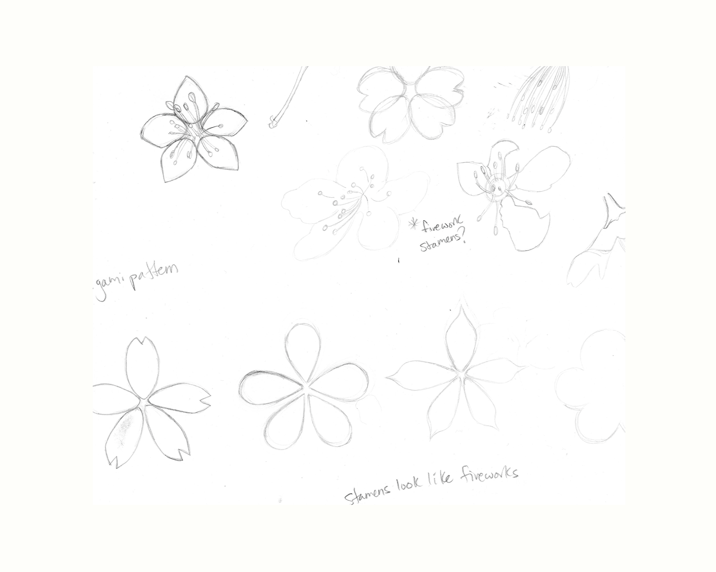 Rough sketch of Cherry Blossoms and flower petals