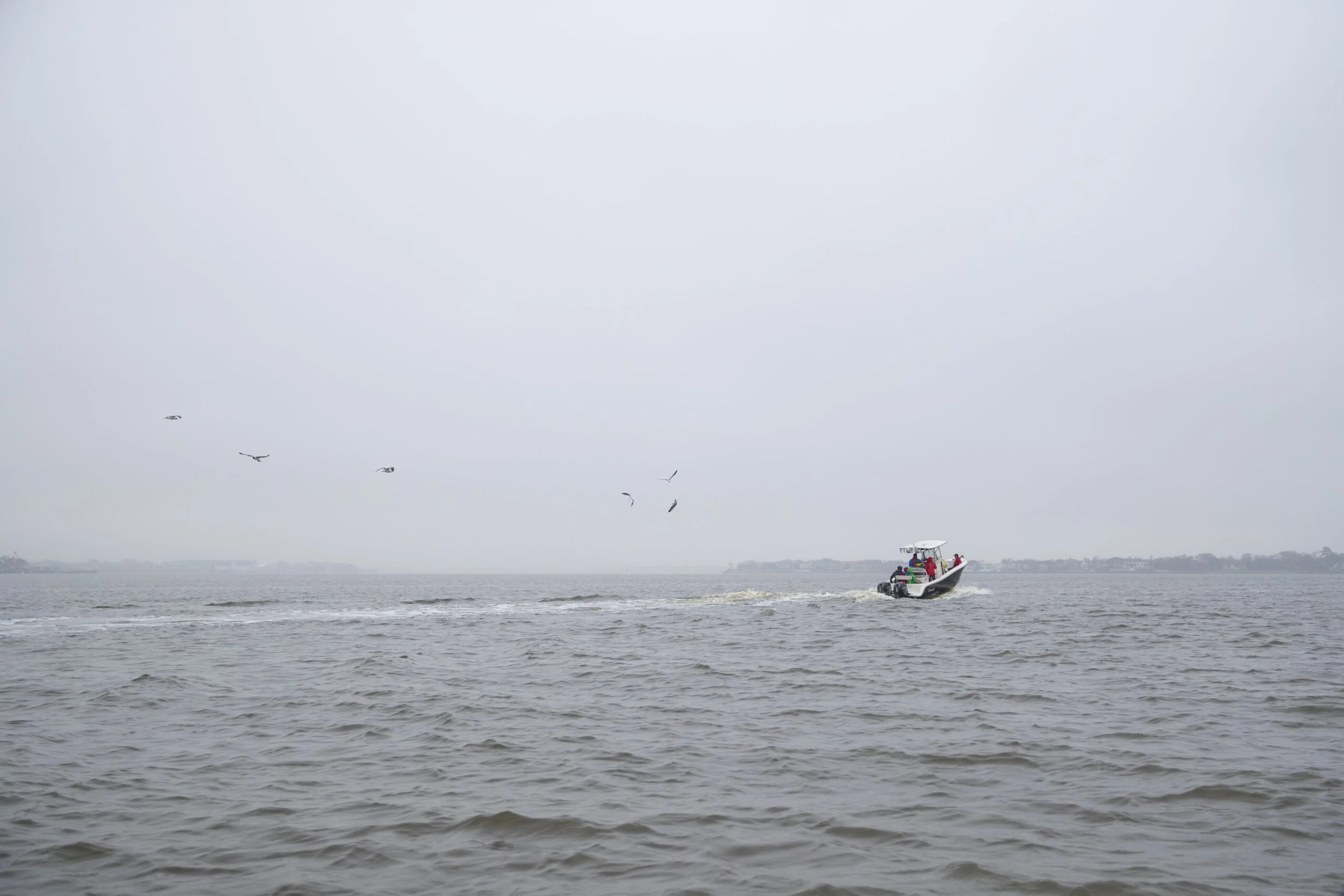 Open Water