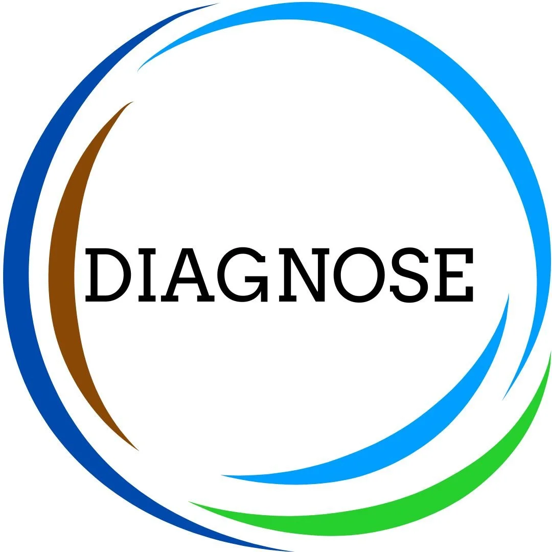 Circular logo with the word "DIAGNOSE" in the center, surrounded by blue, brown, and green curved lines.