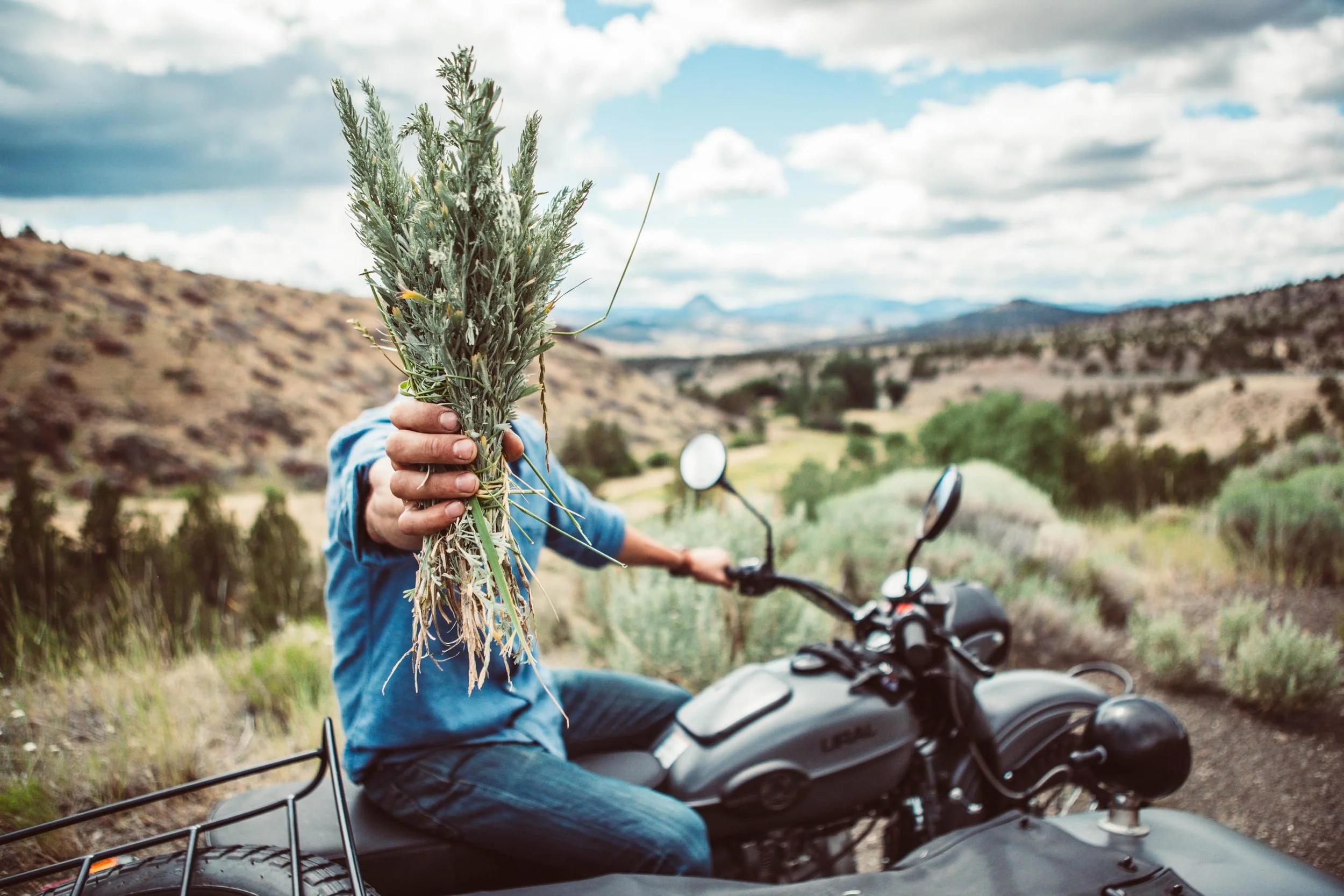 treehouse_motorcycleoregon_trip-7854.jpg