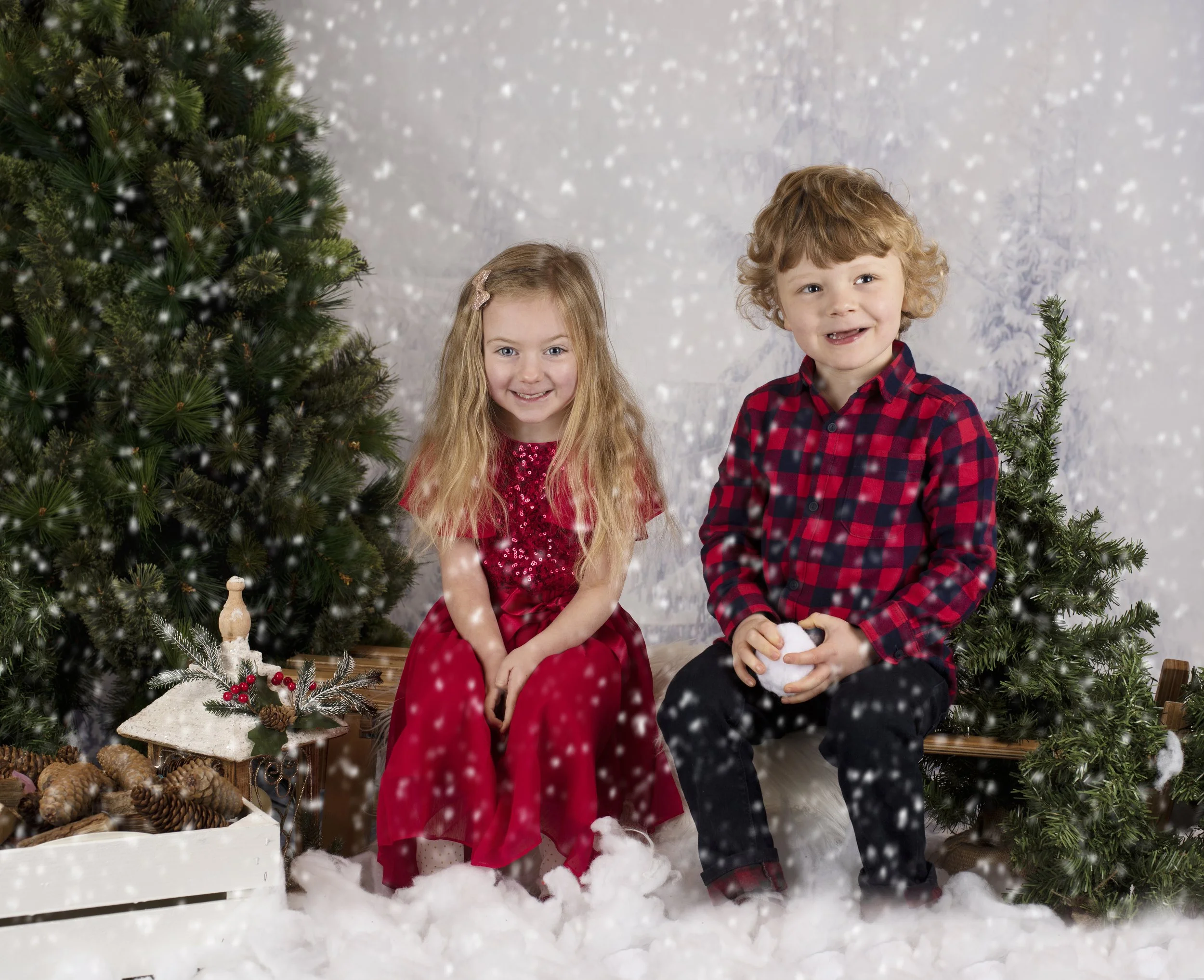 _DSC6254snow.jpg