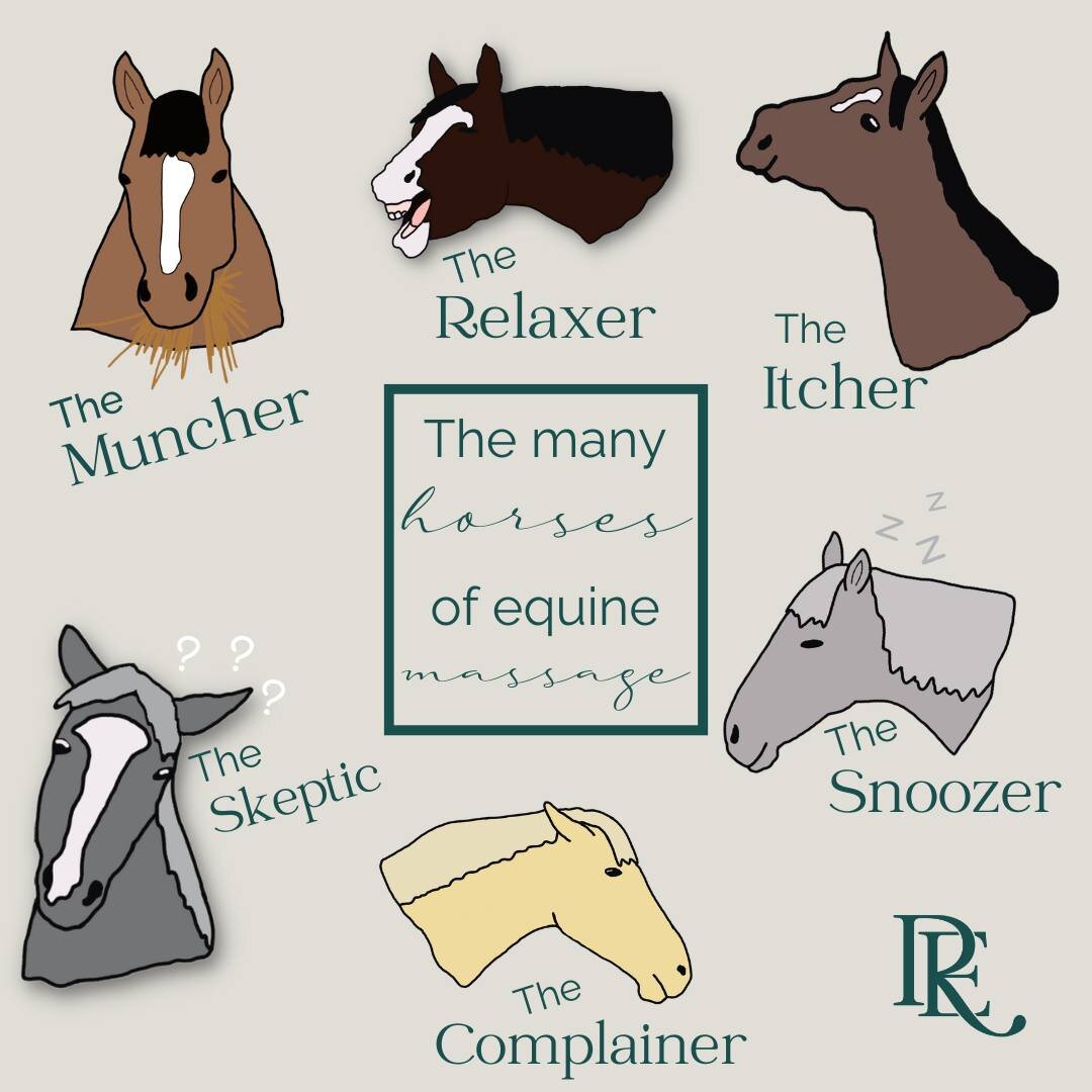 The annual post of my favorite mini-series!
Which one is your horse?
_______________
#equestriansofinstagram #equinetherapy #equestrianlife #lovehorses #healthyhorse #dressagehorses #horseaddict #horsesofinstagram #happyhorses #horselove #equinerehab