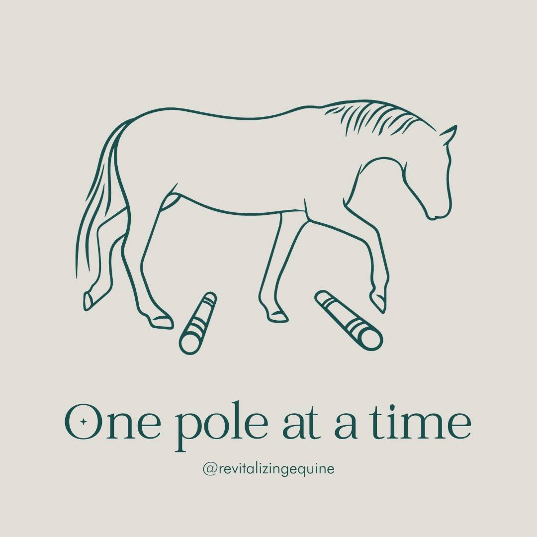 We want to do it all. We want our horses to do it all. But the body cannot do it all. 

Adrenaline kicks in. This triggers excitement and increases our blood pressure allowing us to breathe more efficiently. We feel on top of the world. We can do it 