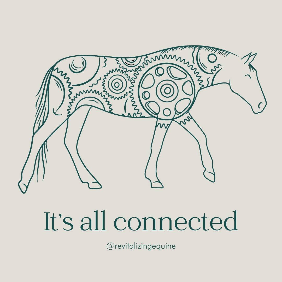 Is something going on in the hind end? Did you check the front end?
Is something going on in the front end? Did you check the hind end?

Think of the horse being filled with gears.
When one gear has trouble moving it will affect all of the other gear