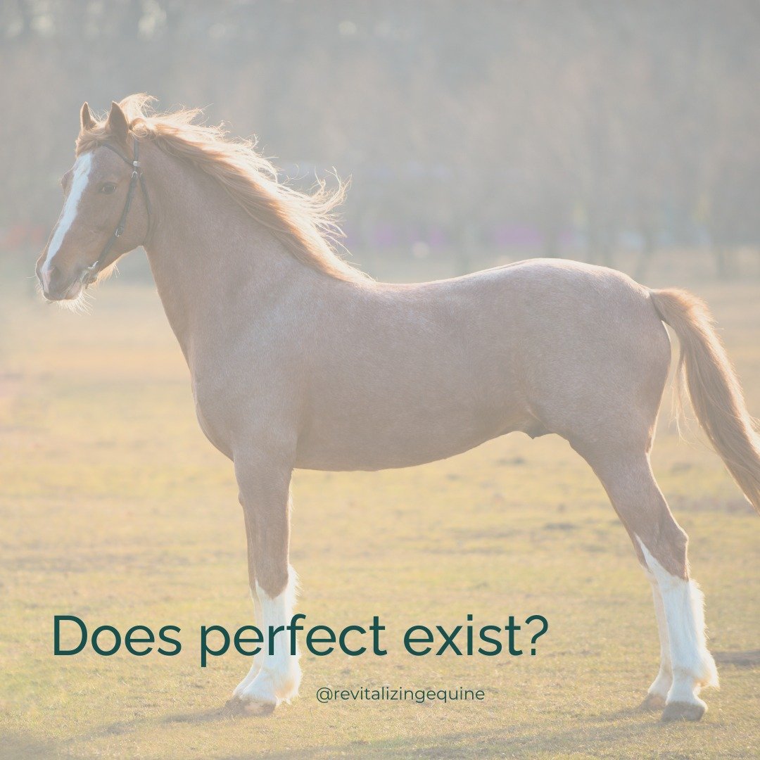 Every time I post an eyeballing markup I always get the comment, &quot;Can you share a horse that doesn't have issues?&quot; 

A horse without issues does not exist. Perfect does not exist. 

From wild horses to those competing at the highest levels;