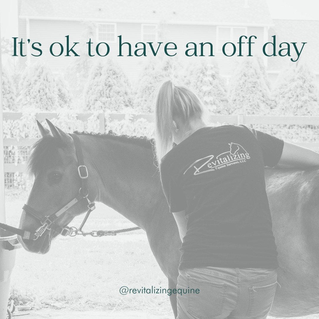 We all know that horses are amazing animals. We ask them to jump and they say &quot;how high?&quot;, we ask them to run and they say &quot;how far?&quot; But just like us, they can also have bad days.

Maybe they're feeling a little off or have a min