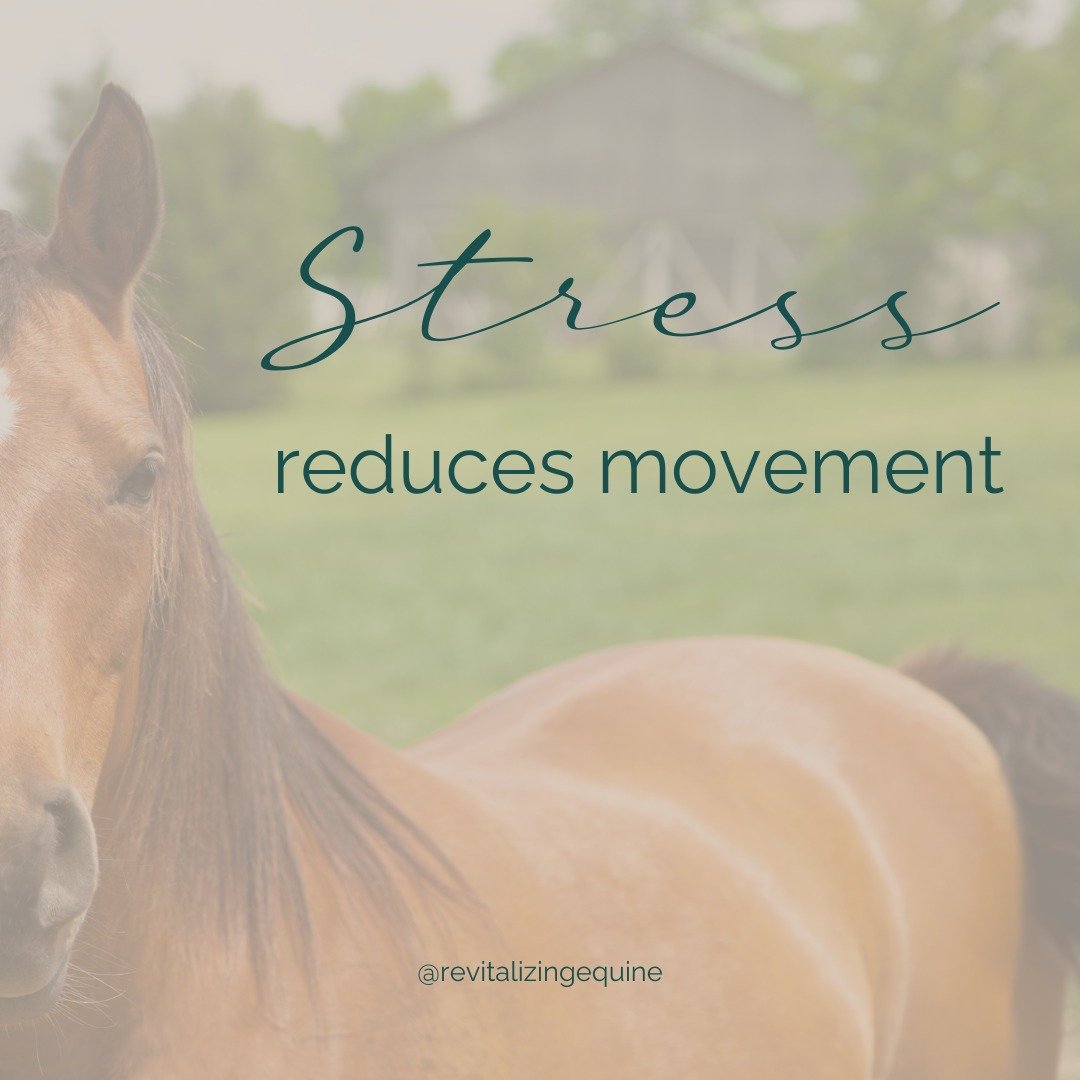 When stress is experienced, the body's response involves the release of several hormones, including adrenaline and cortisol. Adrenaline is responsible for the &quot;fight or flight&quot; response, which prepares the body to respond to a perceived thr