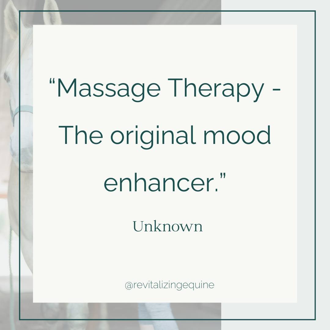 In a world filled with hustle and bustle, sometimes all we need is a moment of serenity. So next time your horse, or you, are feeling frazzled or a little anxious, consider a natural mood enhancer: Massage. 
___________________
#equestriansofinstagra