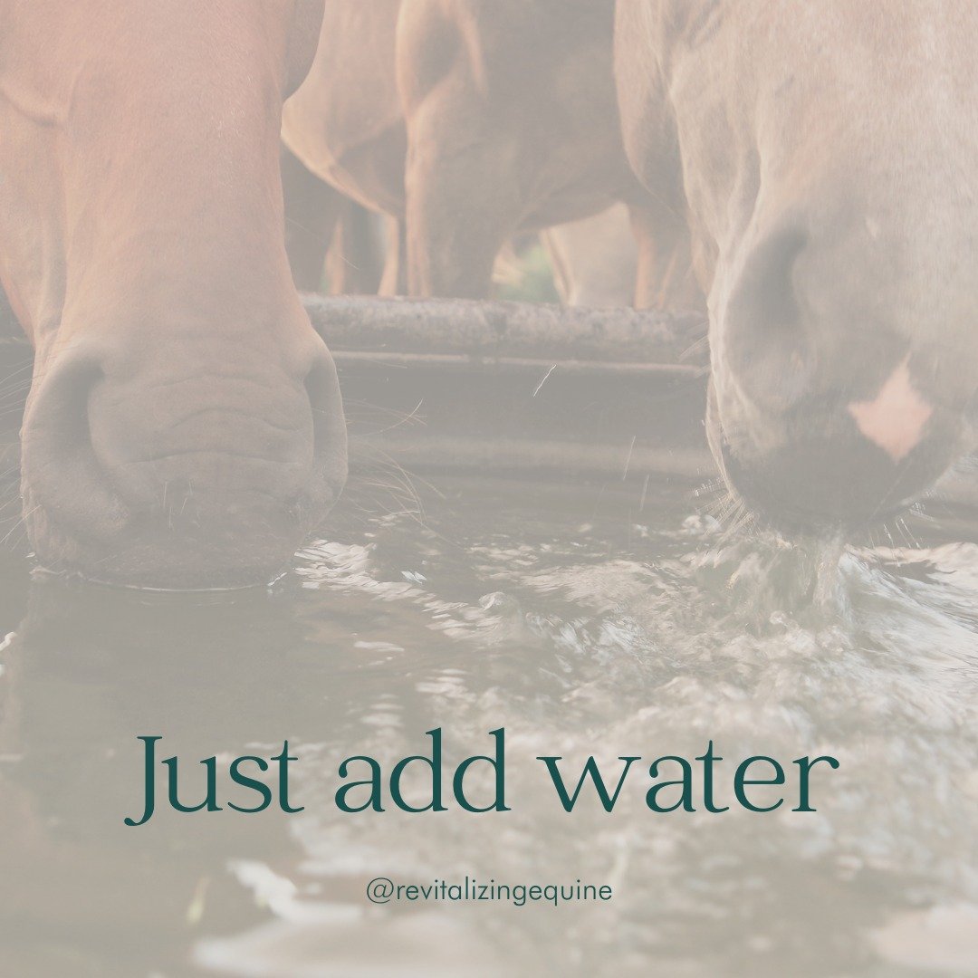 We all understand that horses need water but not many of us understand its role for muscle health. 👇

1️⃣ When horses exercise, their muscles generate heat, leading to sweat and water loss. Dehydration can quickly set in, impacting their performance