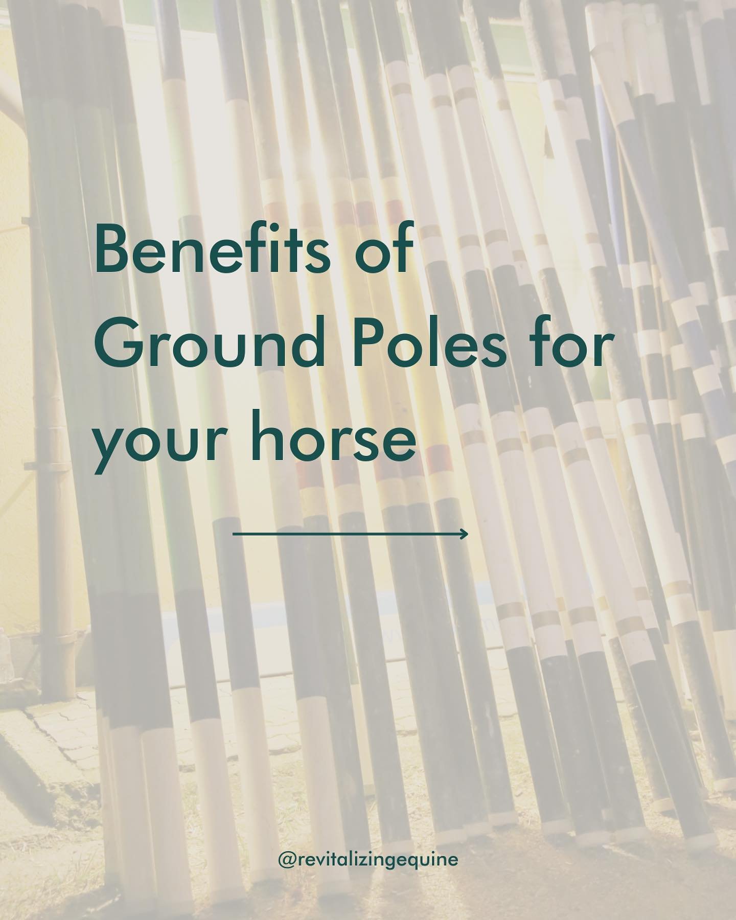 There is so much more to ground poles then just walking/trotting over them and calling it a day. They are proven to be one of the most important tools to have in your tool box. 

But why? 
Poles provide a great deal of muscle and mine effects that ca