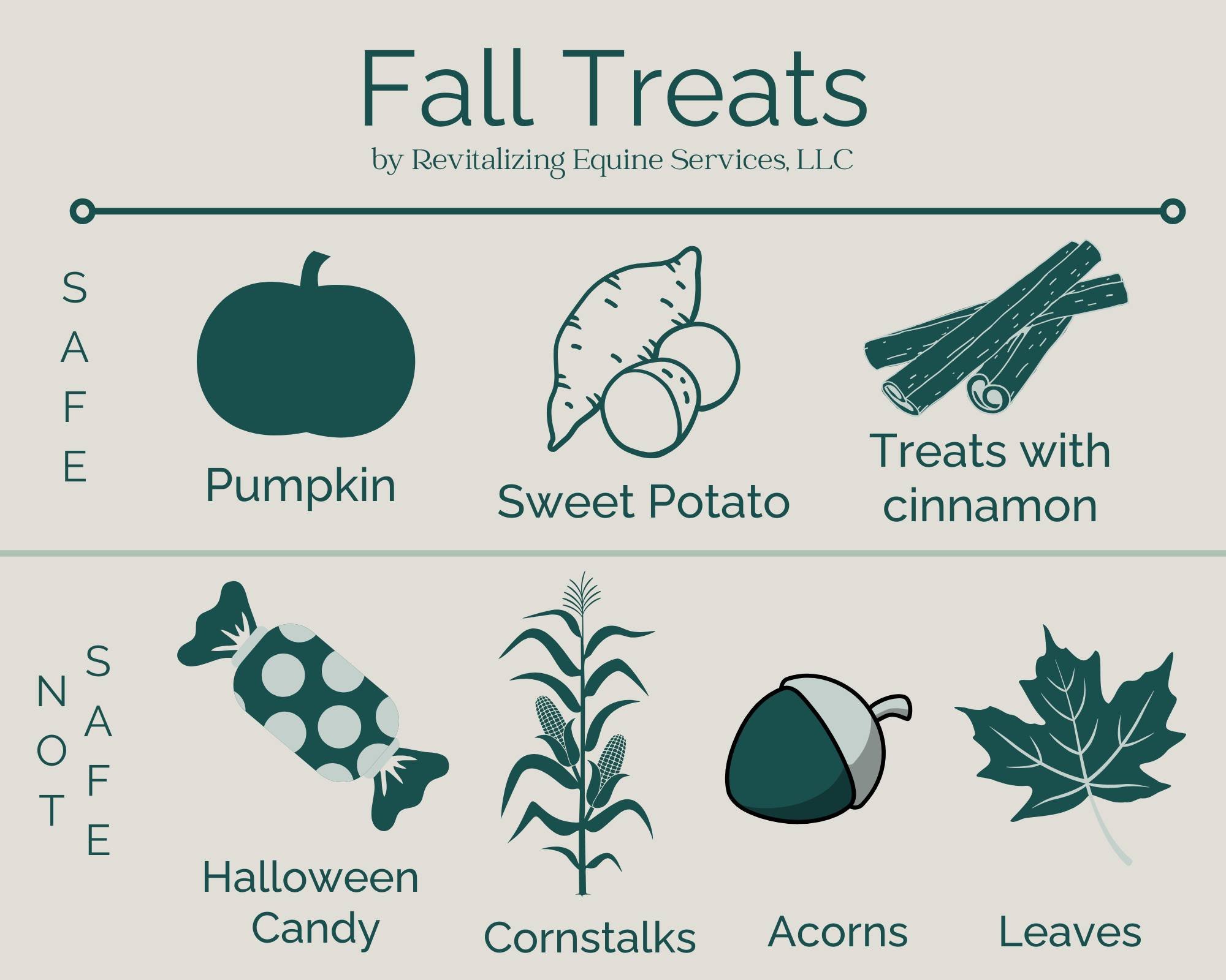 All of the fall goodies are here but which ones are safe or not safe for your horse?

Besides regular apples, carrots, and mints, pumpkins and sweet potatoes are great treats to try out. Treats with cinnamon are safe, but if you are playing in the FE