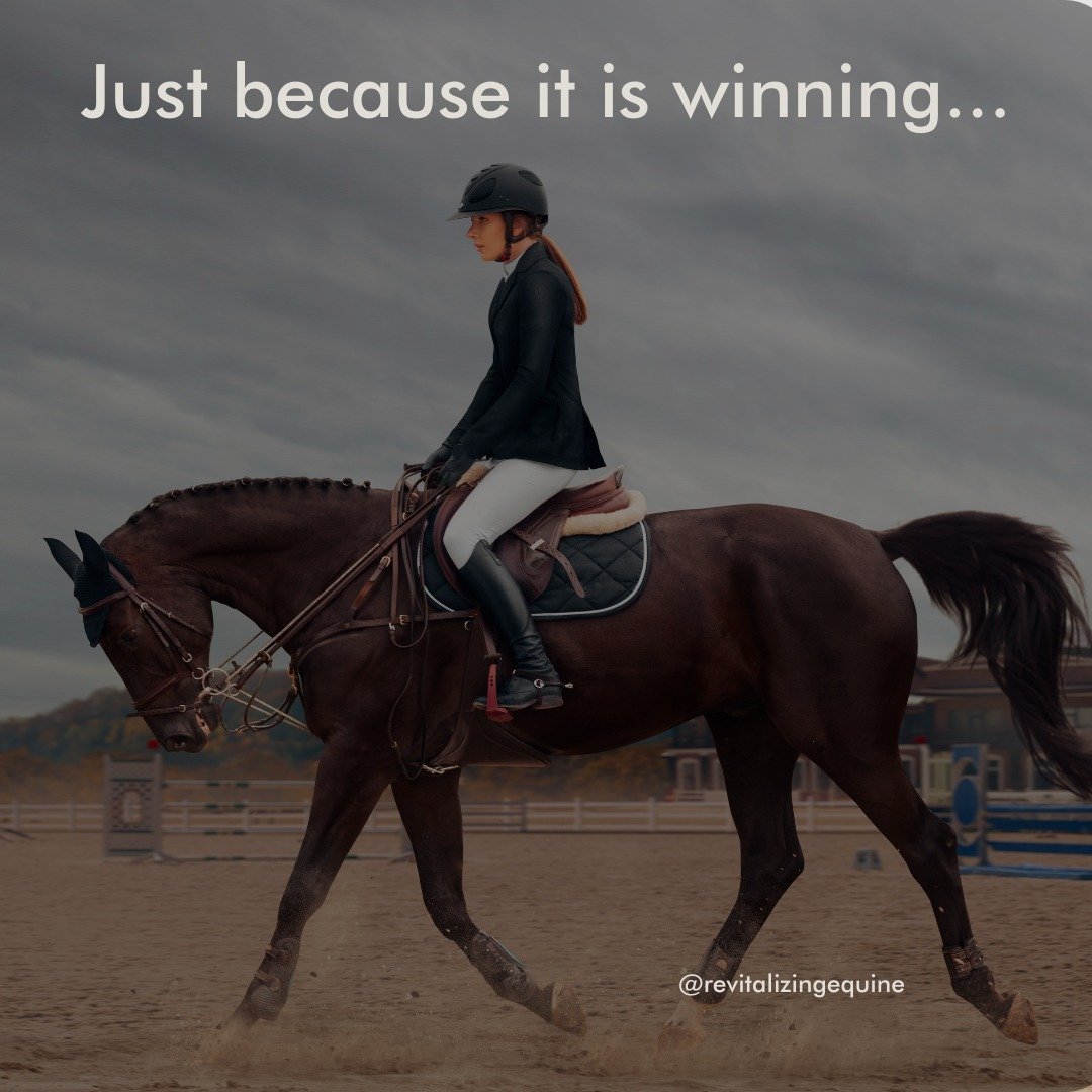 Just because there is a horse out there getting first place doesn't mean it is right.

But who is being held responsible for this &quot;winning&quot; horse?
The judge?
The professional and their status?
The horse?
The show?
The organization?

Where d