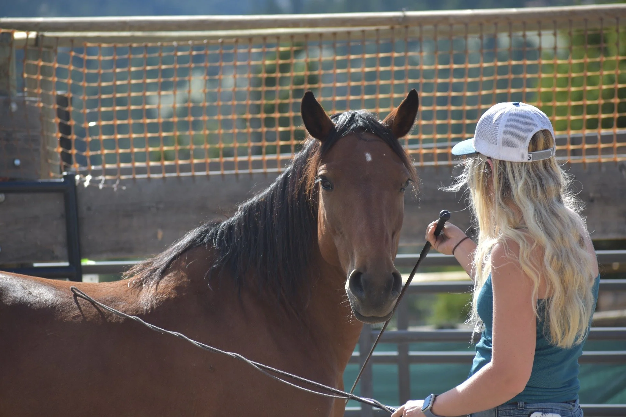 Liberty &amp; Bridleless Clinic  