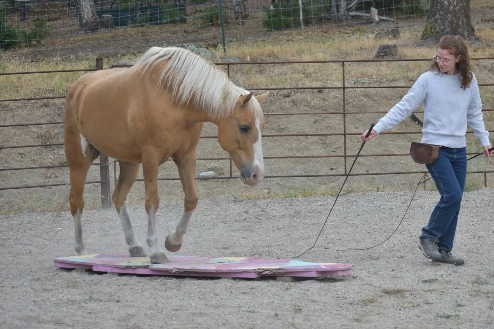 Liberty & Bridleless Clinic