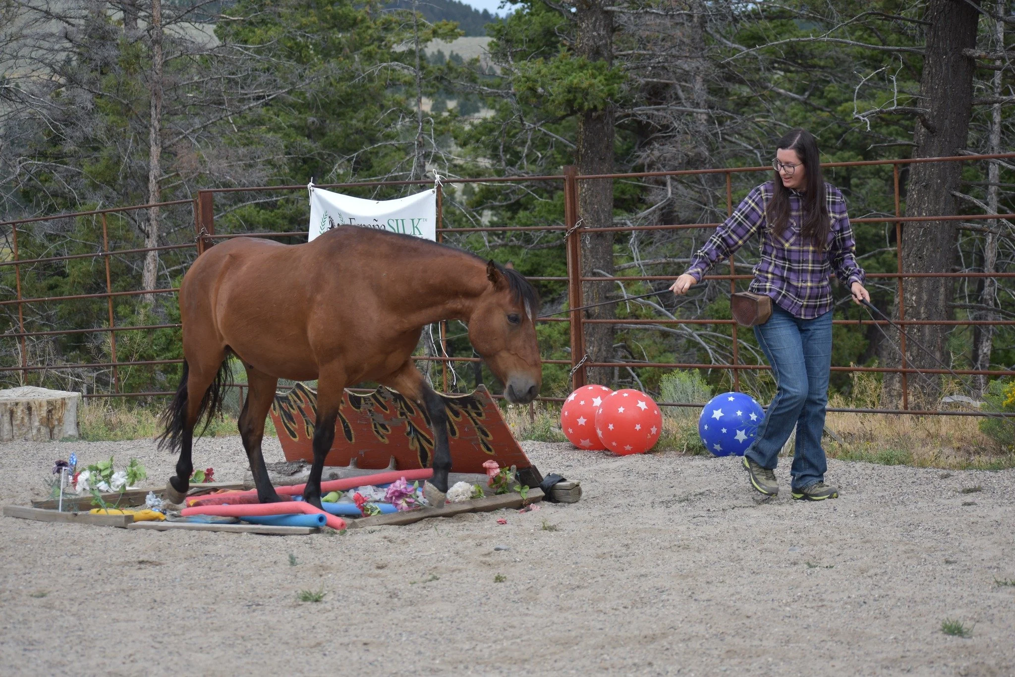 Liberty &amp; Bridleless Clinic