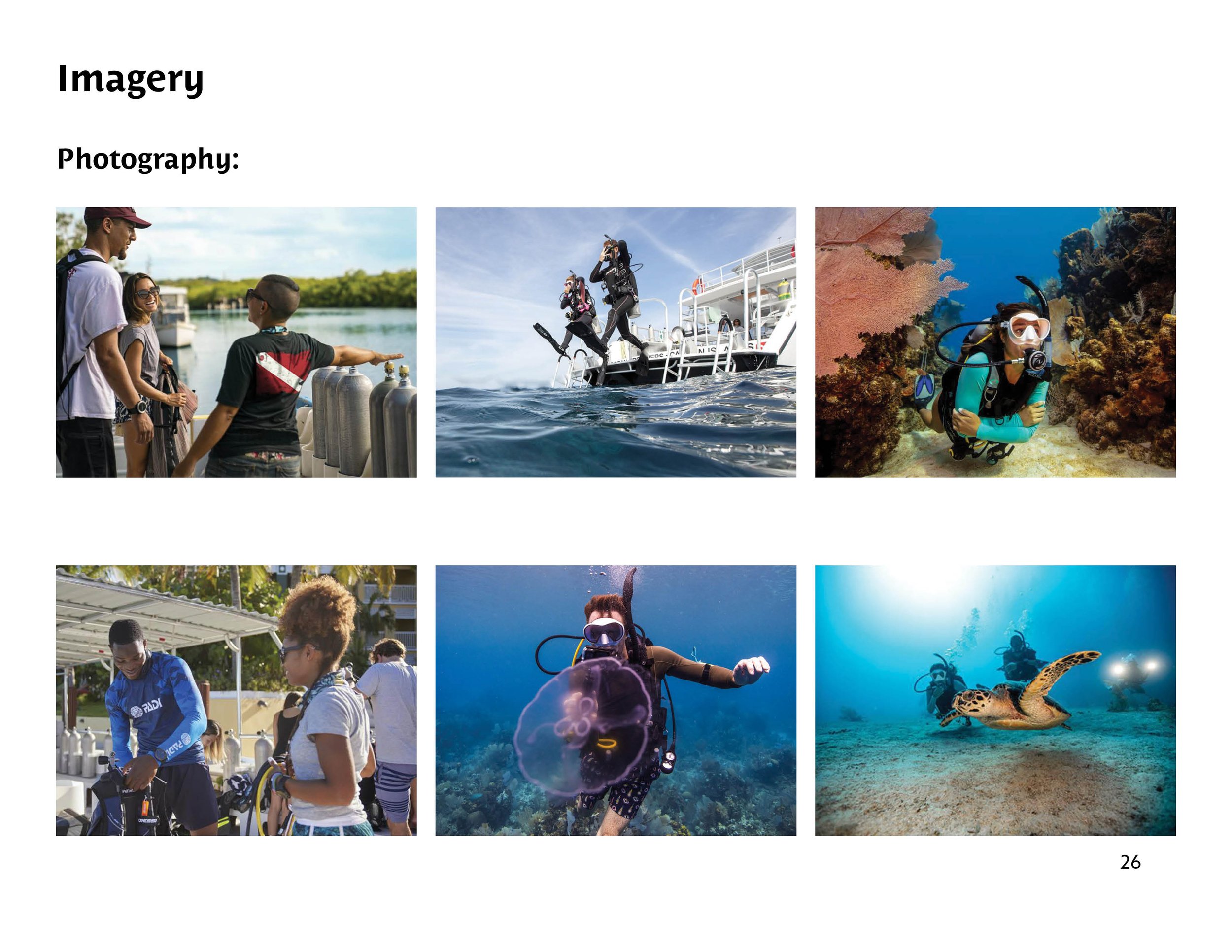 brand guideline_PADI AWARE26.jpg
