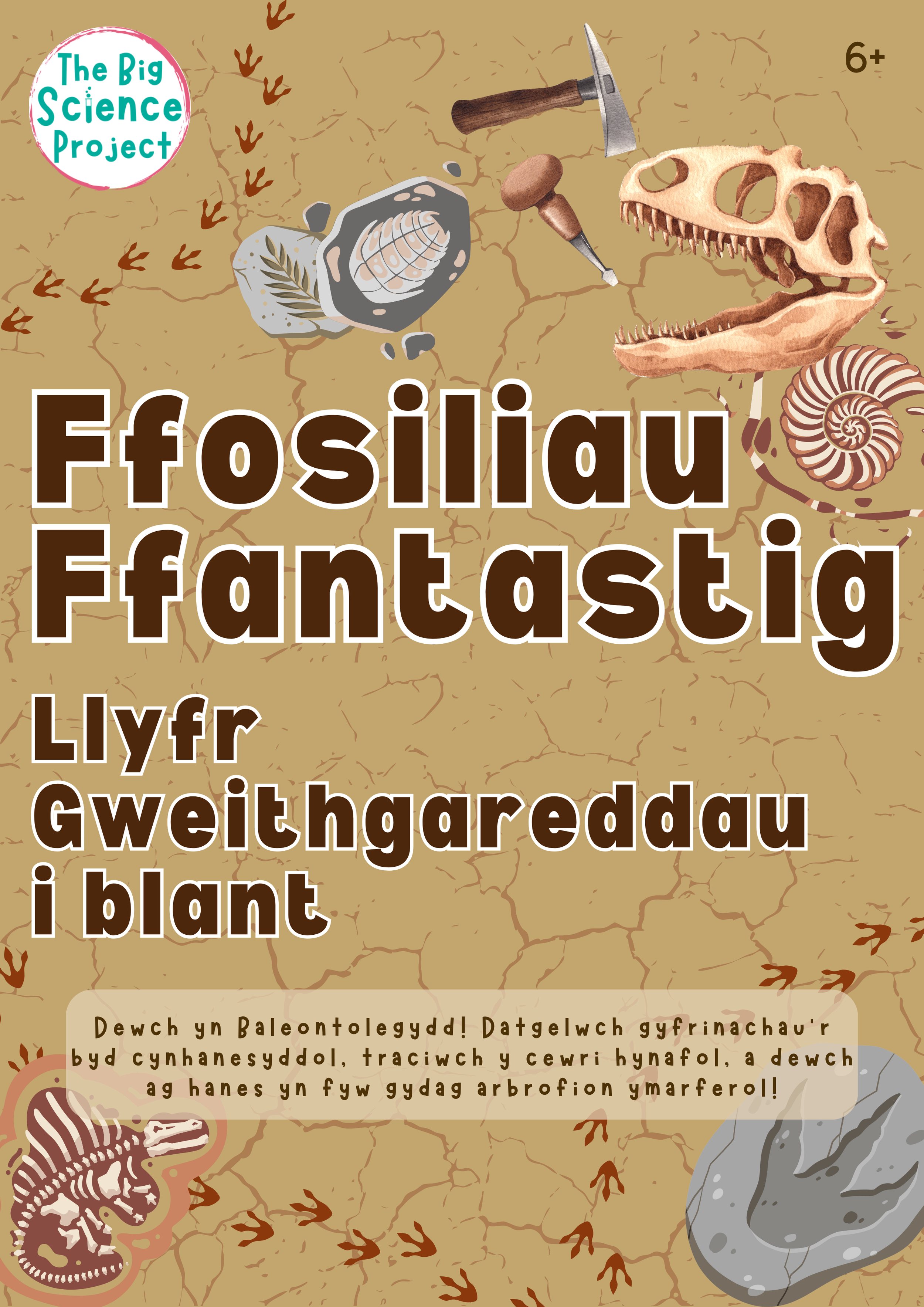 Ffosiliau Ffantastig Llyfr Gweithgareddau i blant
