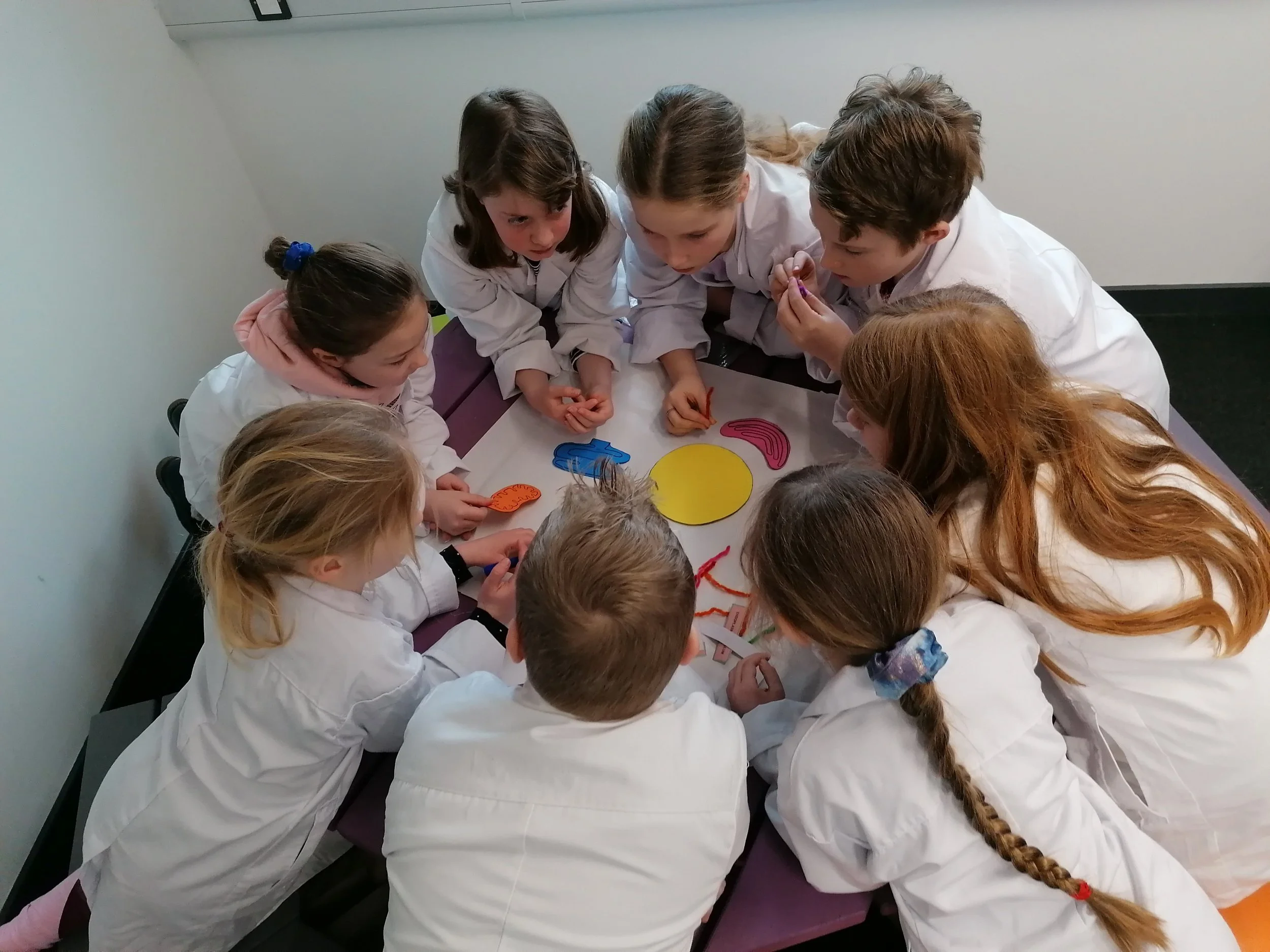 Children discussing science in depth