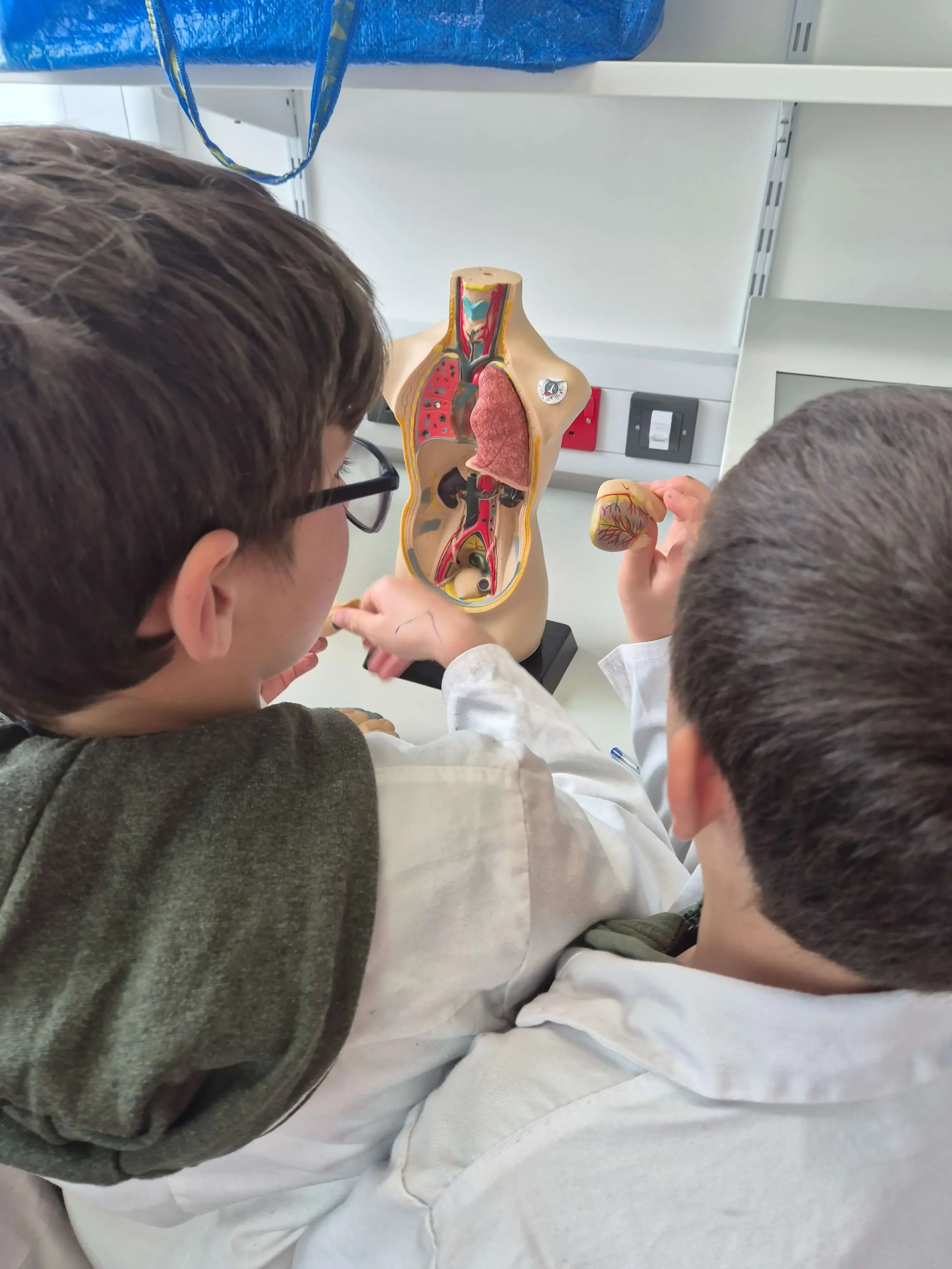 Llechryd Human Biology Science Camp