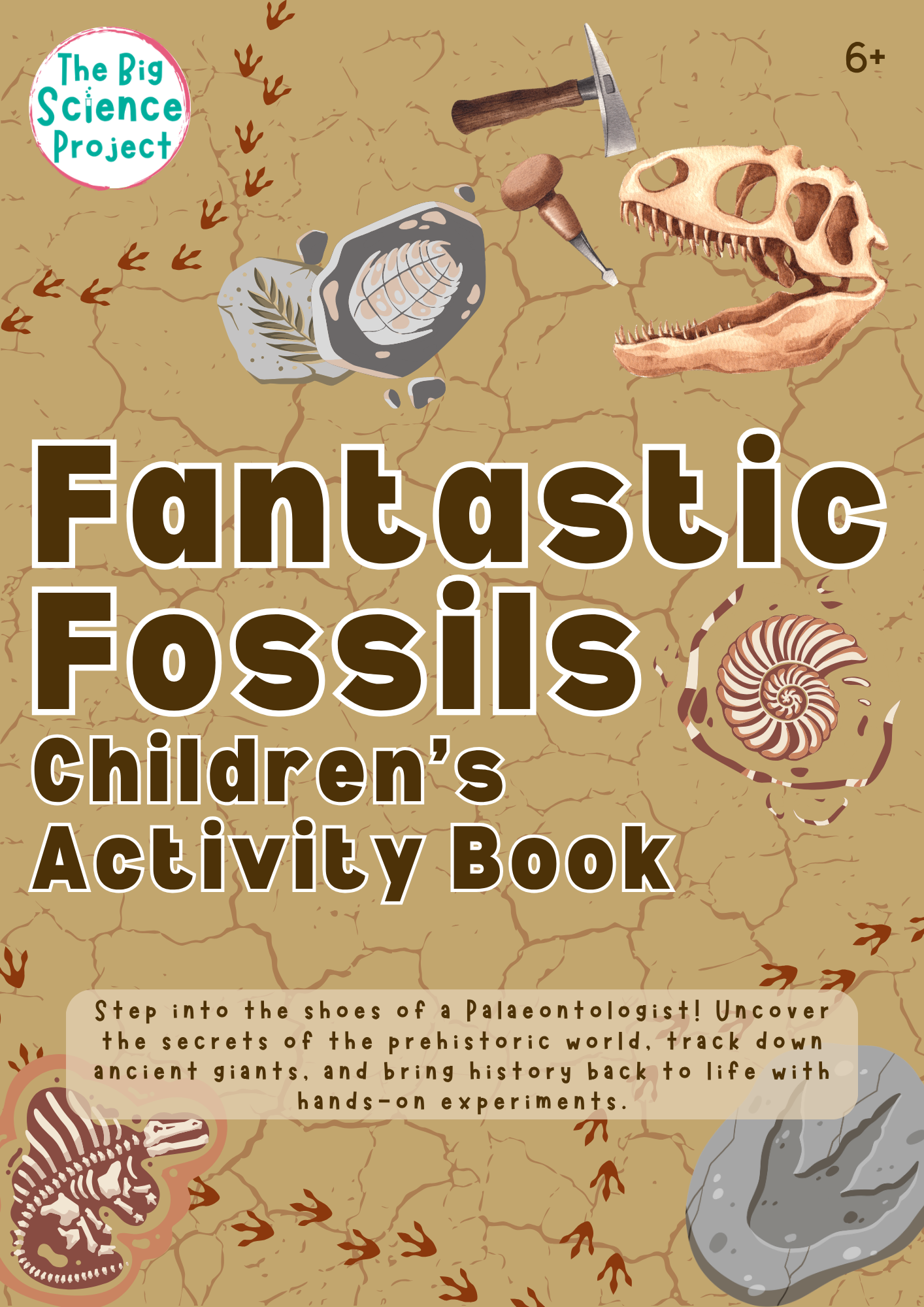 Fantastic Fossils Children's activity book