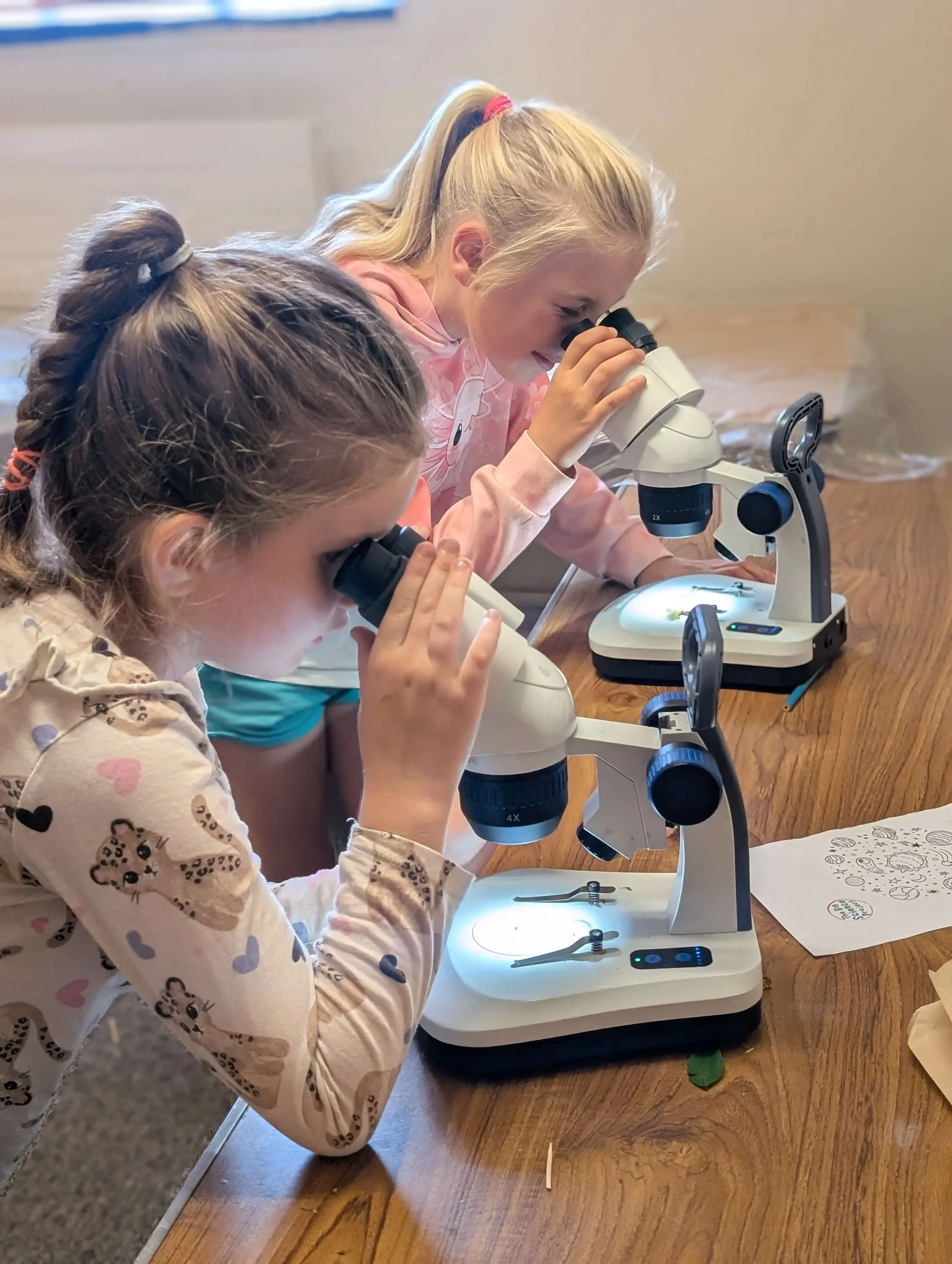 children-looking-at-microscopes-girls-in-science.webp