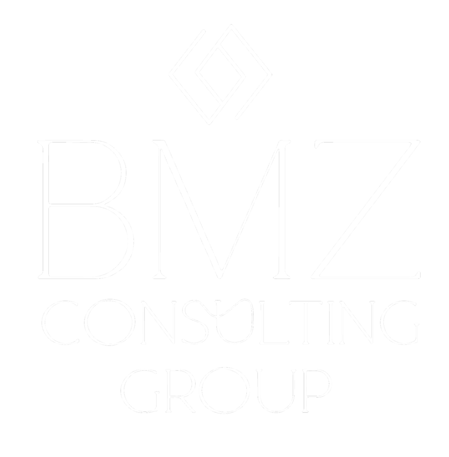 BMZ Consulting Group Inc.