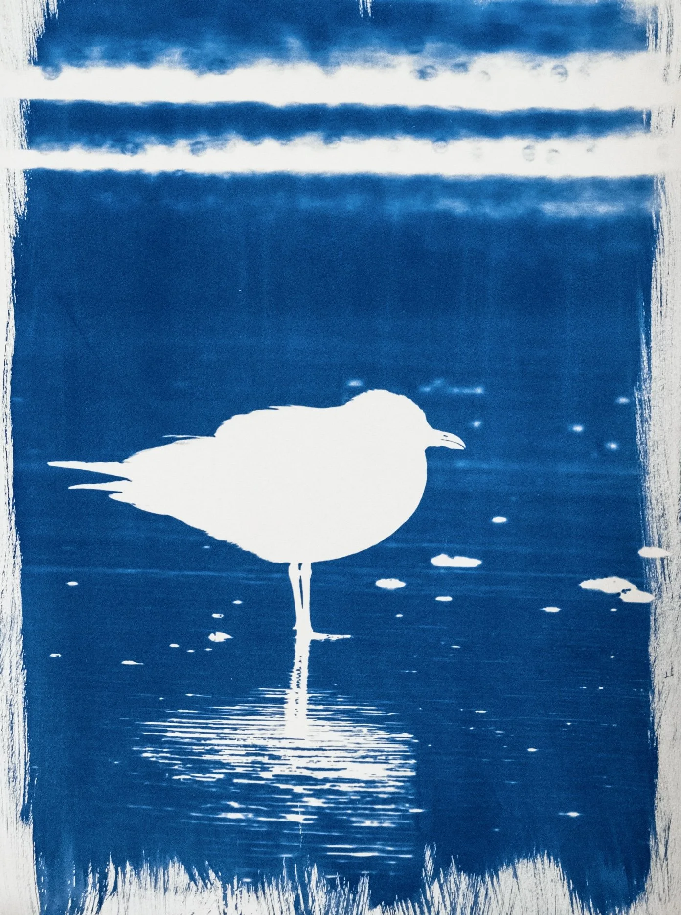 Silhouette of a seagull reflection in water, in blue and white cyanotype colors.