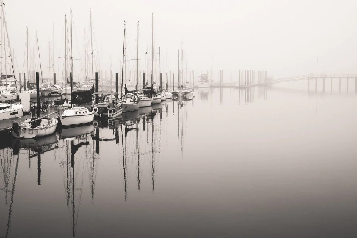 Foggy morning at the marina
