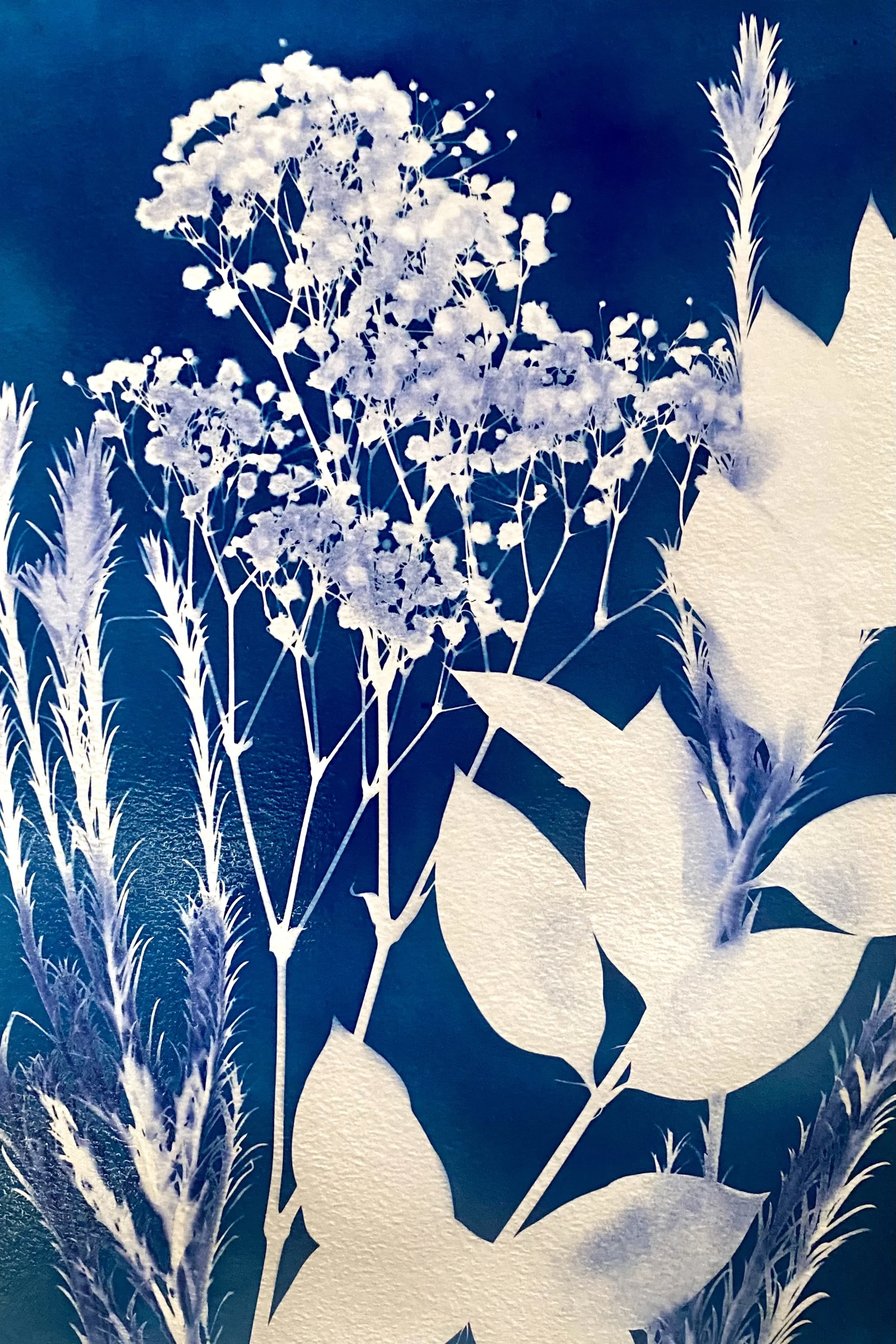 Decorative floral cyanotype wall art featuring white silhouettes of various flowers and leaves on a blue background.