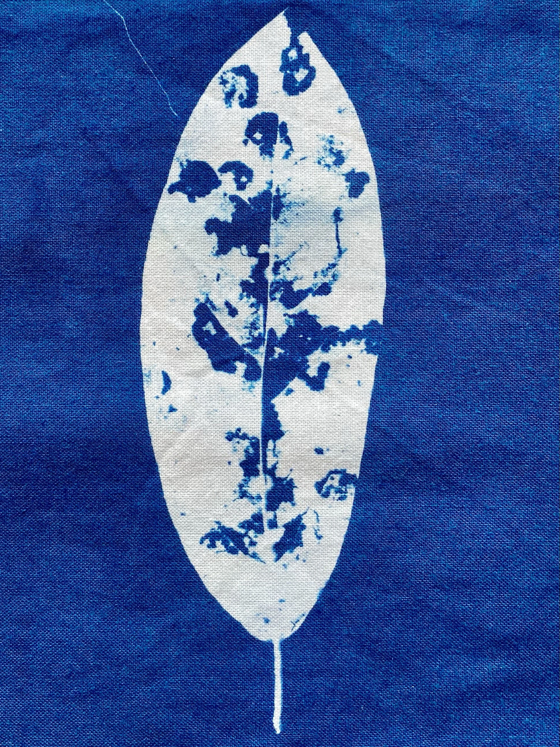 Cyanotype with blue fabric background and a white leaf silhouette that has a distressed pattern in shades of blue.