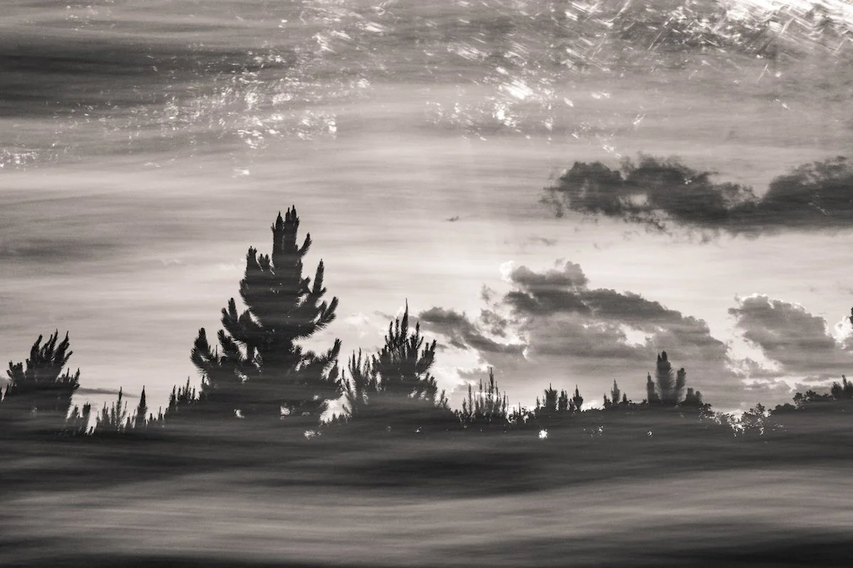 Coastal forests—in-camera double exposure with intentional camera movement