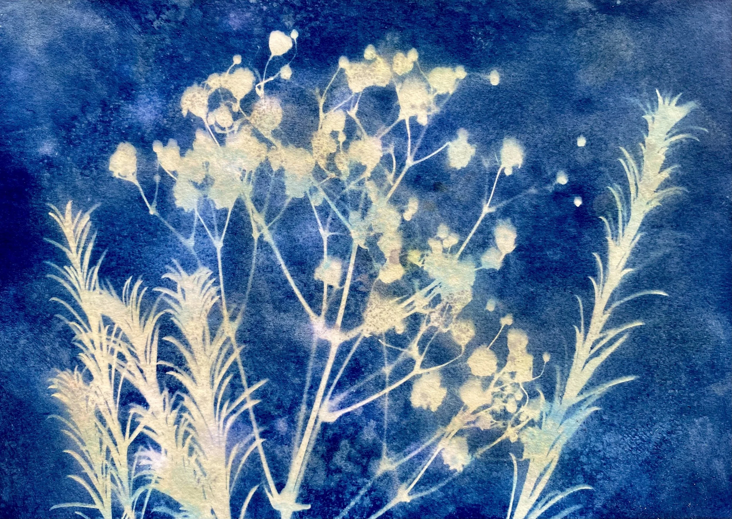 Cyanotype art showing delicate flowers and tall grasses against a deep blue background, with a soft, watercolor-like texture.