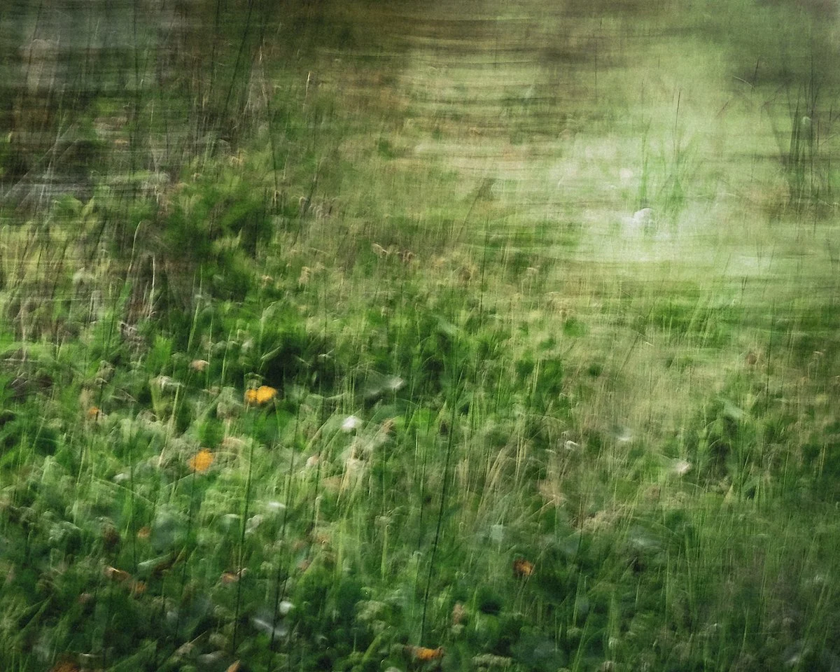 Marshes of Darien—in-camera double exposure with intentional camera movement