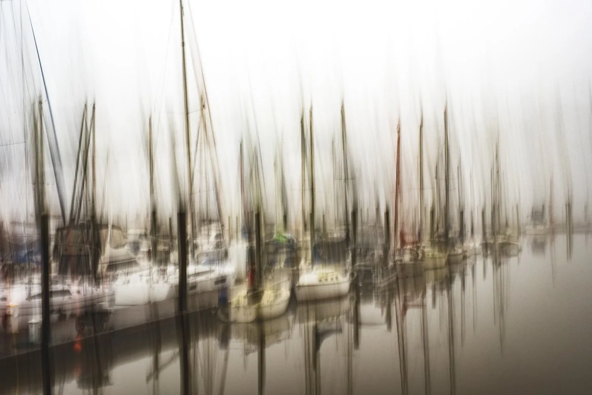 Boats at Morningstar Marina II
