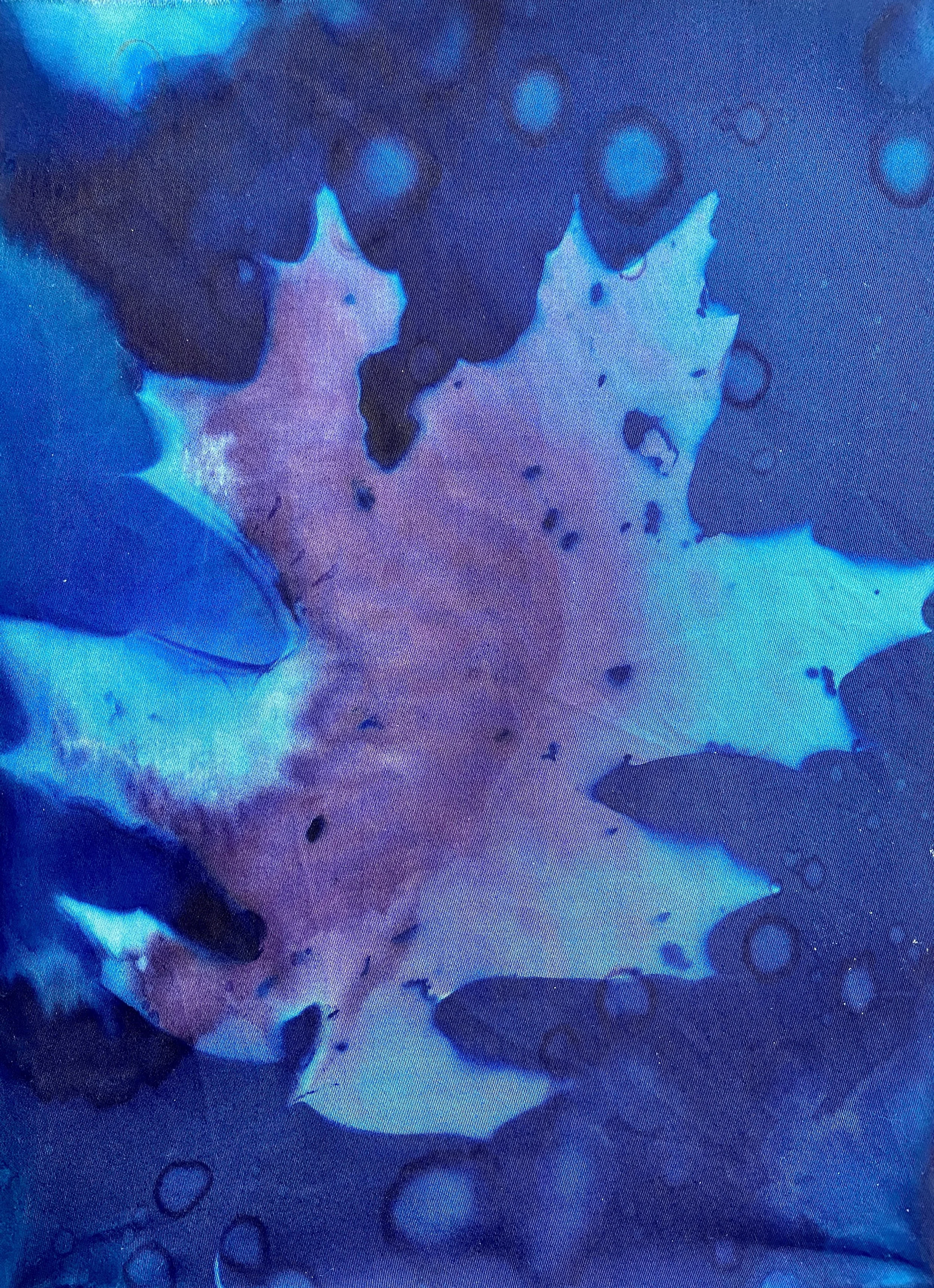Abstract wet cyanotype of leaf with with blue and purple hues and circular patterns.