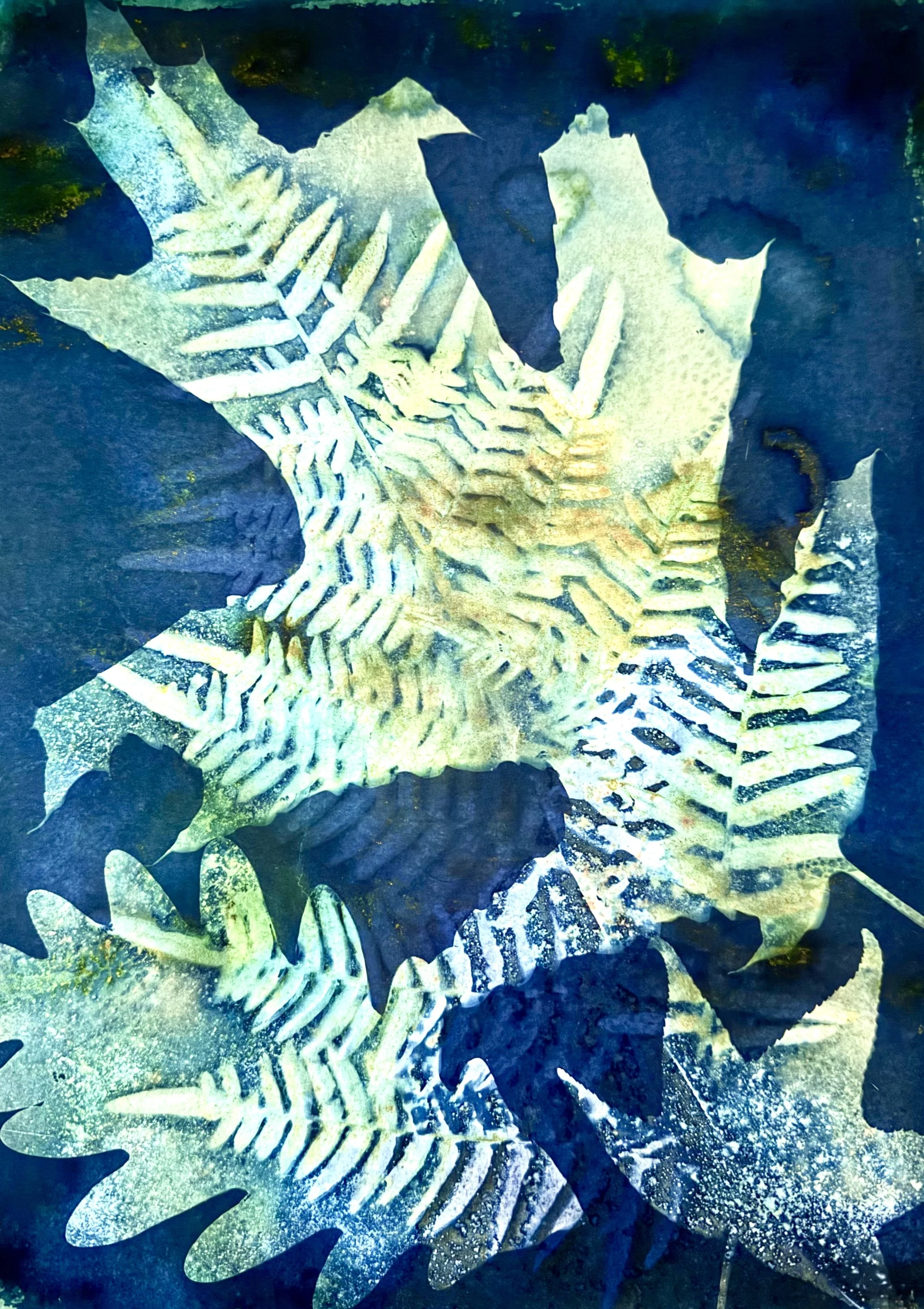 Double-exposure cyanotype with large oak leaves and fern leaves, blue background with yellow and green pigments.
