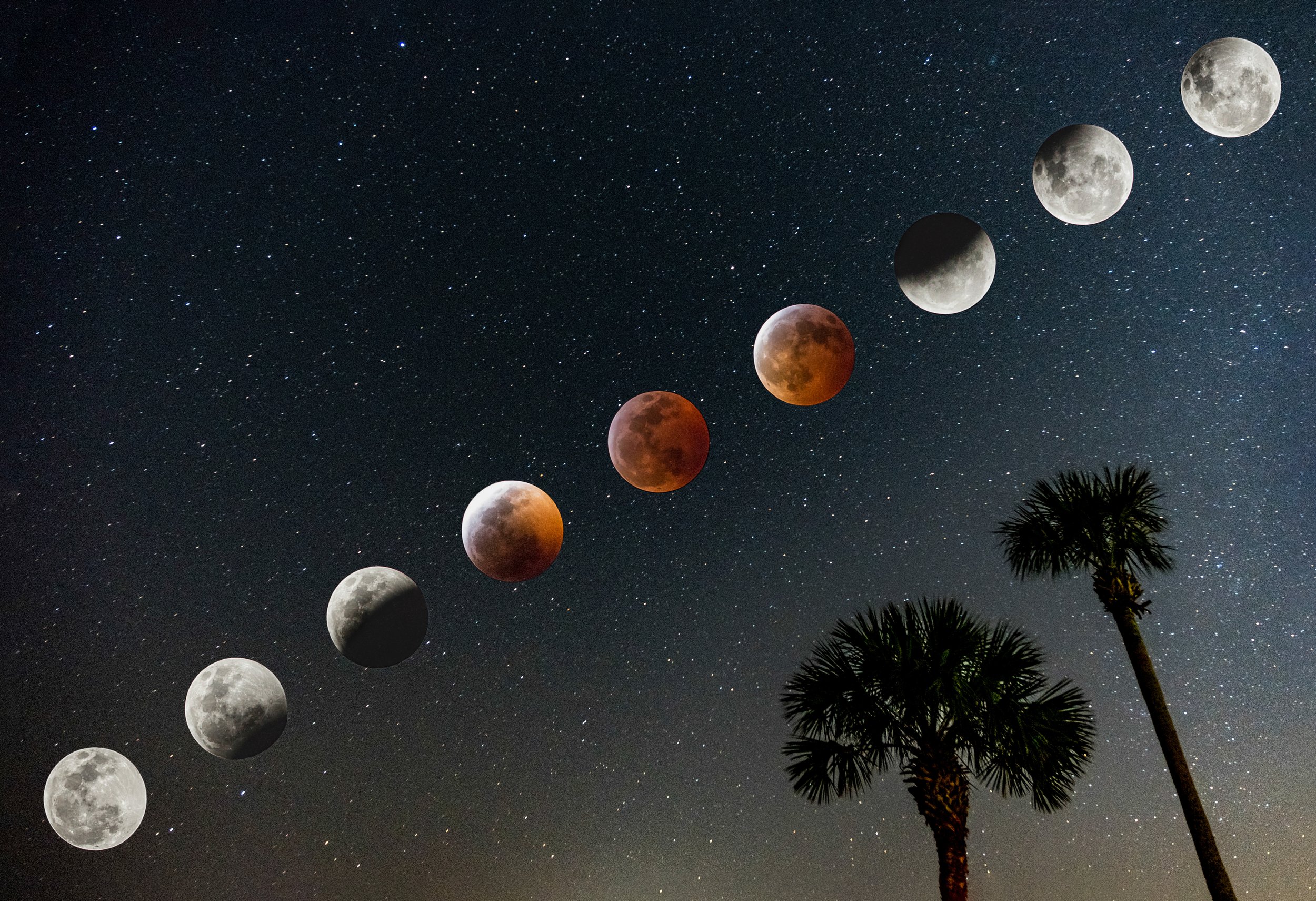 Composite image of Wolf Moon Lunar Eclipse photographed in Brunswick, GA