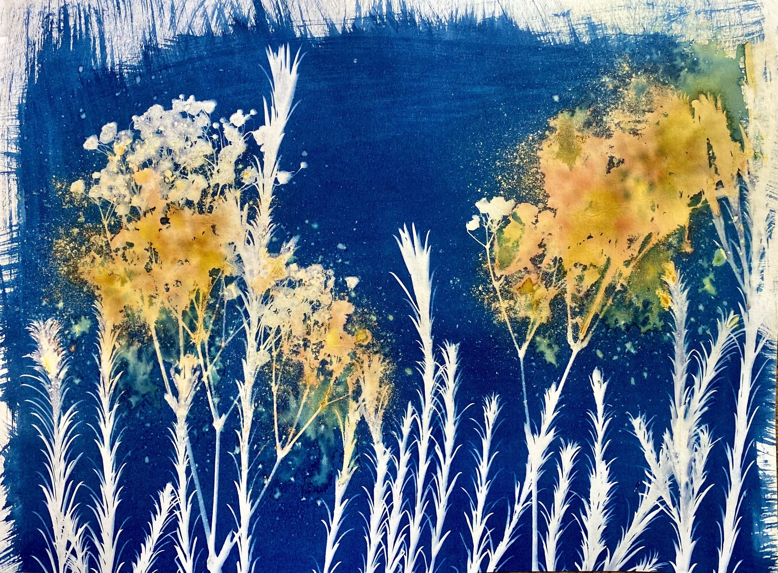 Abstract cyanotype artwork featuring white plant silhouettes over a vibrant background of yellow, pink, and green splashes on a deep blue backdrop.