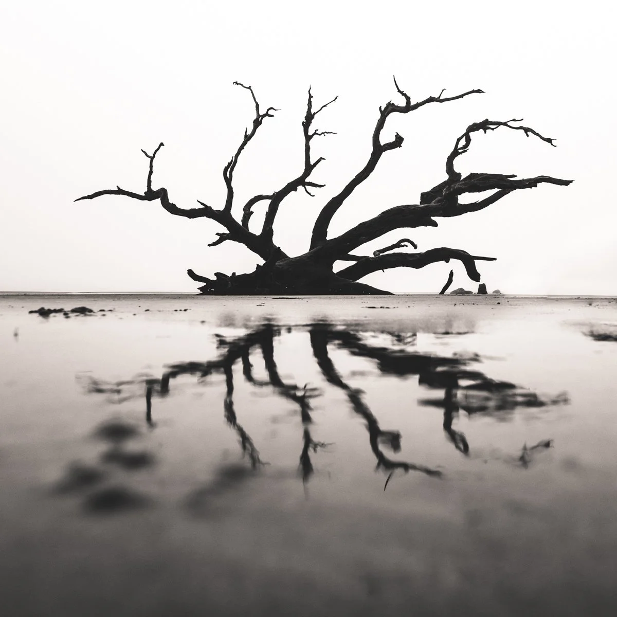 Jekyll Island on a foggy morning