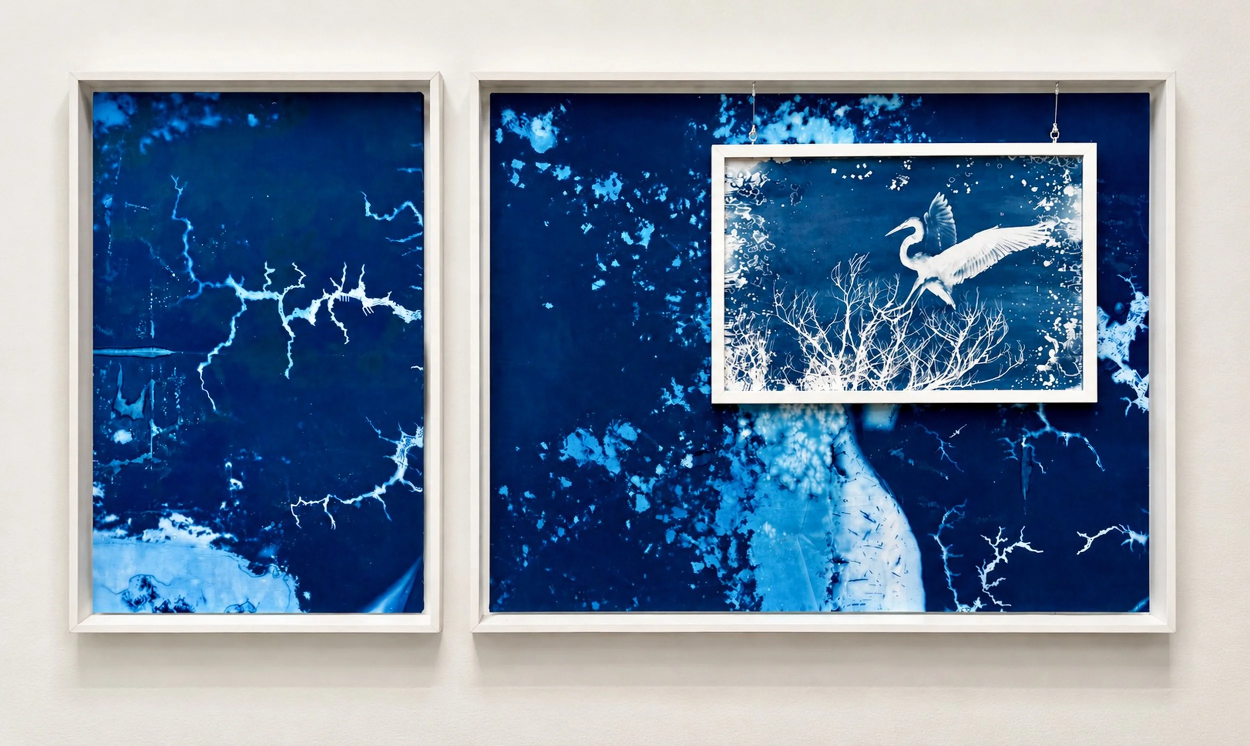 All Water Has a Perfect Memory: New Work at the Ryan Resilience Lab