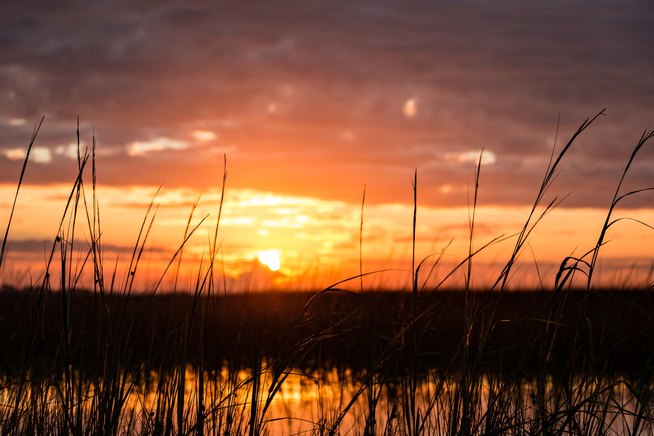 Sunrise over the marsh