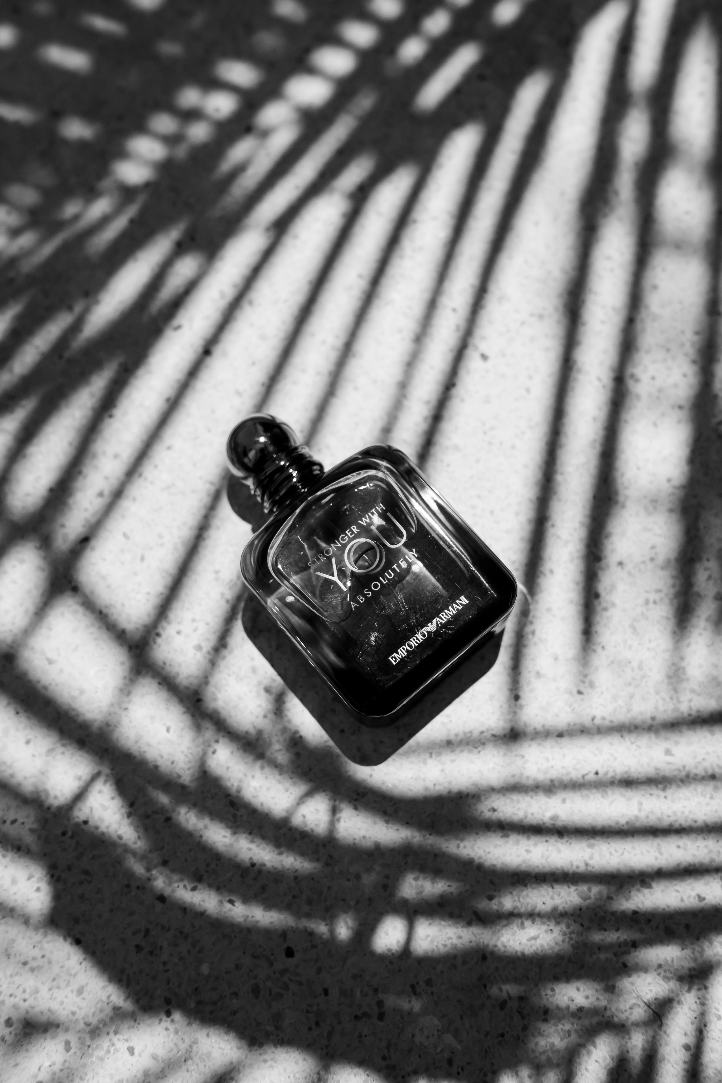 tropical flat lay with perfume and palm tree