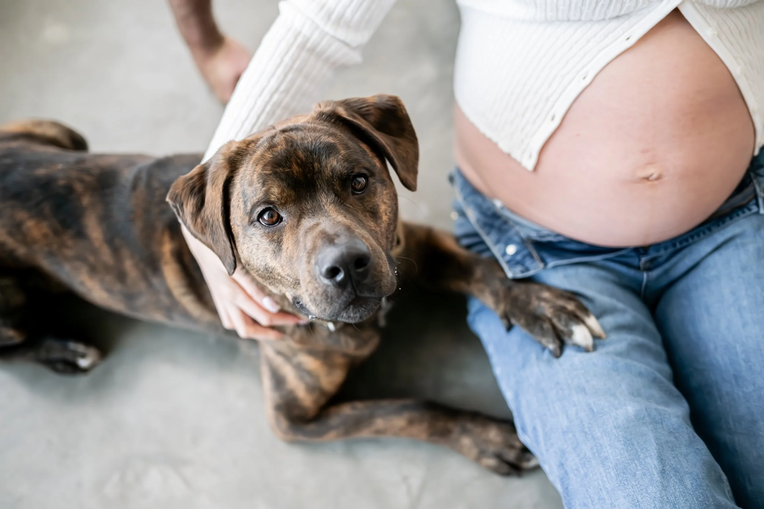 Elegant maternity portrait captured by a Calgary maternity photographer, featuring an expecting mother in a flowing gown holding her baby bump with soft natural light. A timeless pregnancy photoshoot celebrating motherhood and anticipation.