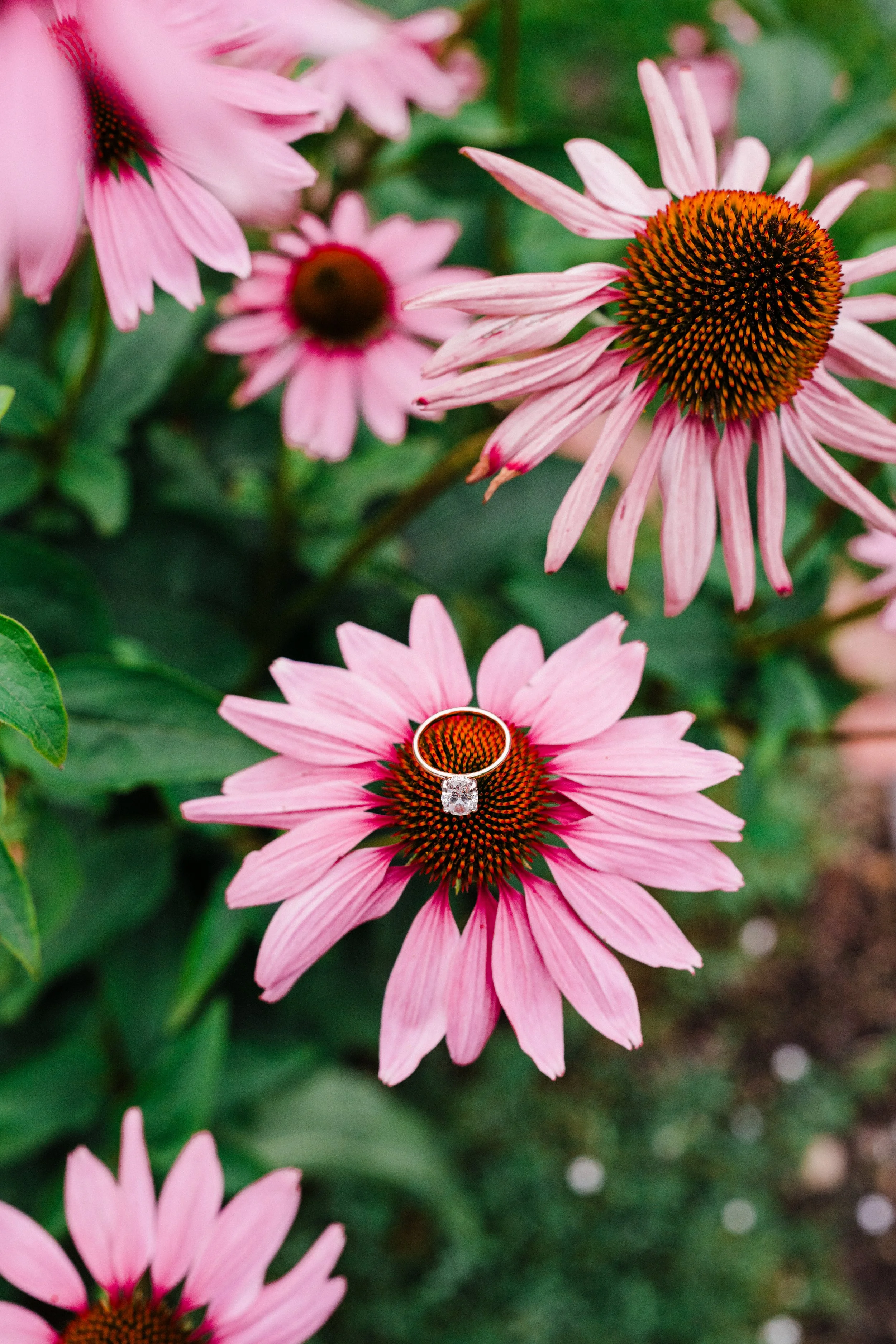 If you’re looking for Calgary engagement photography with a modern, playful, and editorial feel, you’re in the right place. I capture couples in a way that blends candid moments with a stylish, fashion-inspired edge—so your photos feel effortless, na