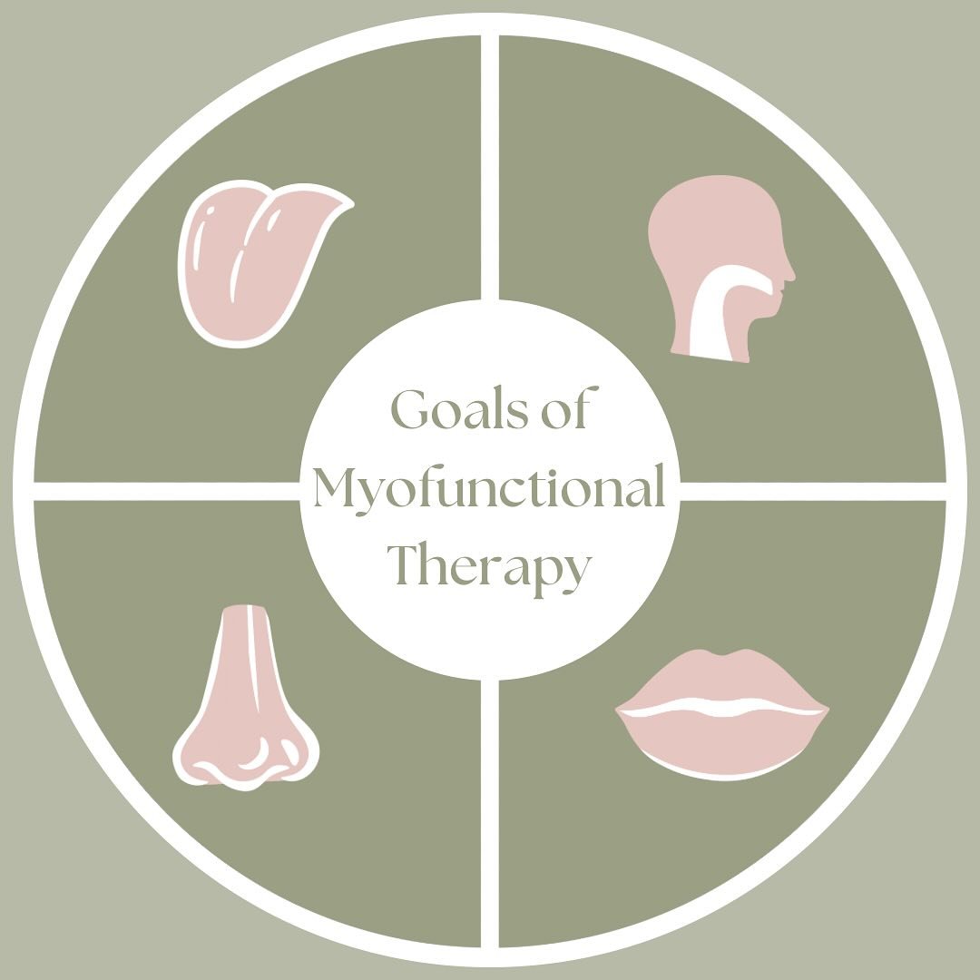 Myofunctional Therapy✨ 

Myo therapy encompasses a lot of things. So let&rsquo;s take a step back and look at the big picture: what are the overall main goals of myofunctional therapy? 

1. Proper tongue posture 
 ✨ ensuring your tongue rests at the 