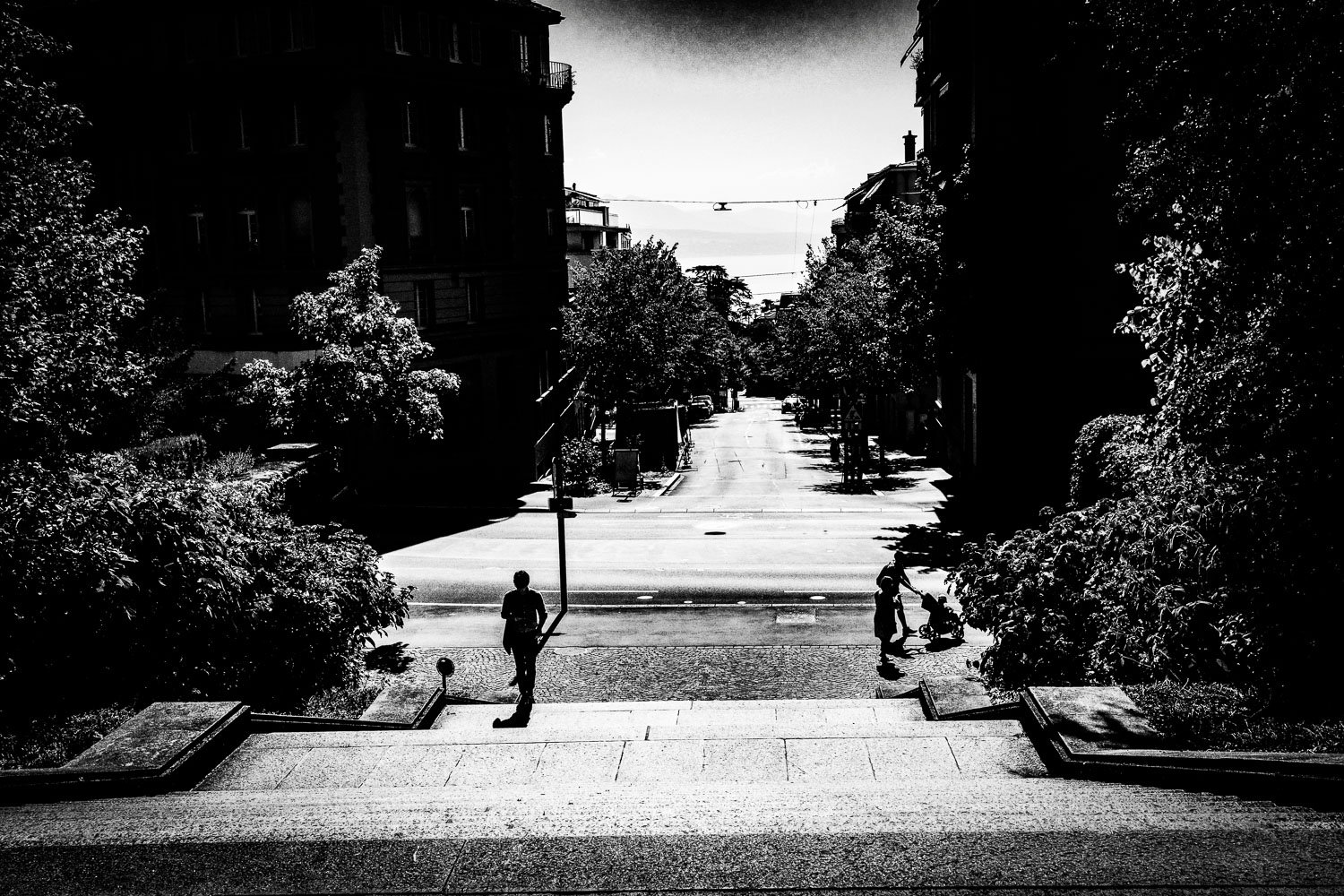 Escaliers du Parc de Mon-Repos, Lausanne, 2023