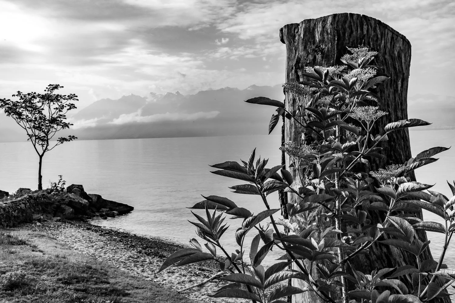 Lac Léman near Pully, Lausanne, 2025