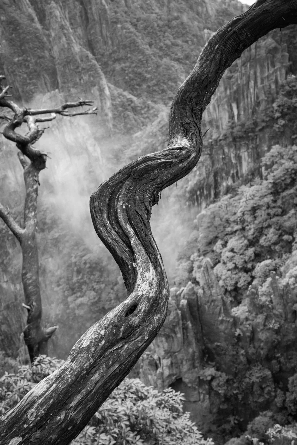Huangshan (Yellow Mountain), 2026
