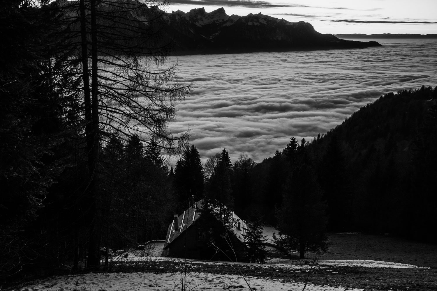 The house of Paul and Nicole du Marchie van Voorthuysen, Lausanne, 2025